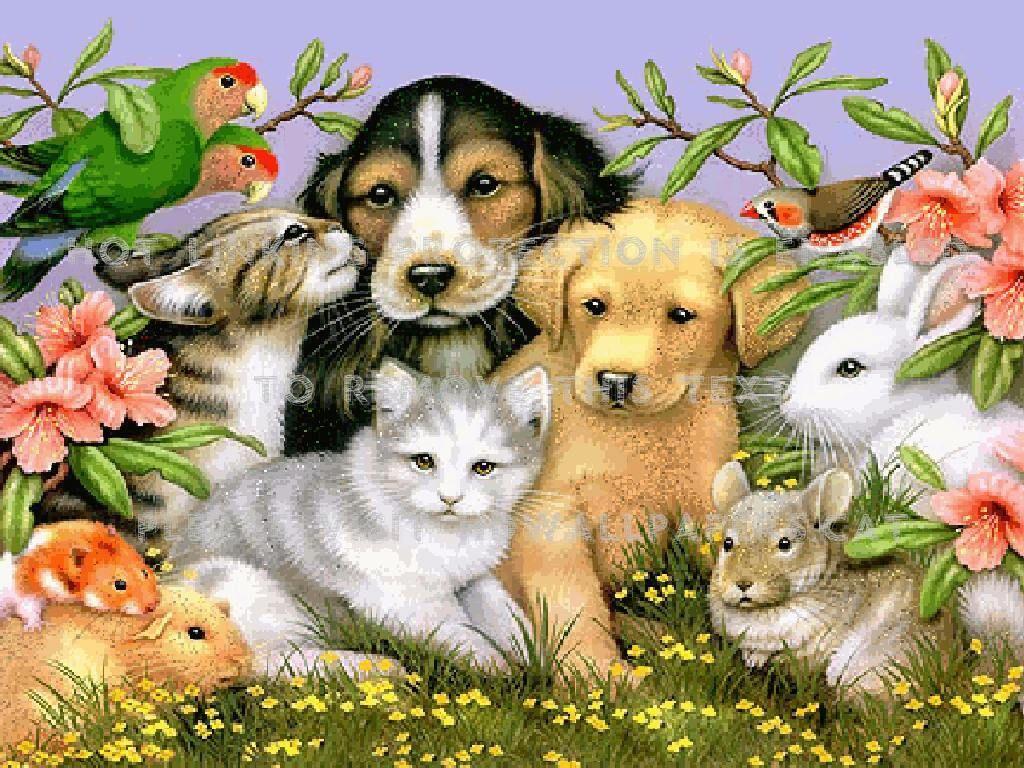 Kitty and Puppy Wallpapers - Top Free Kitty and Puppy Backgrounds ...