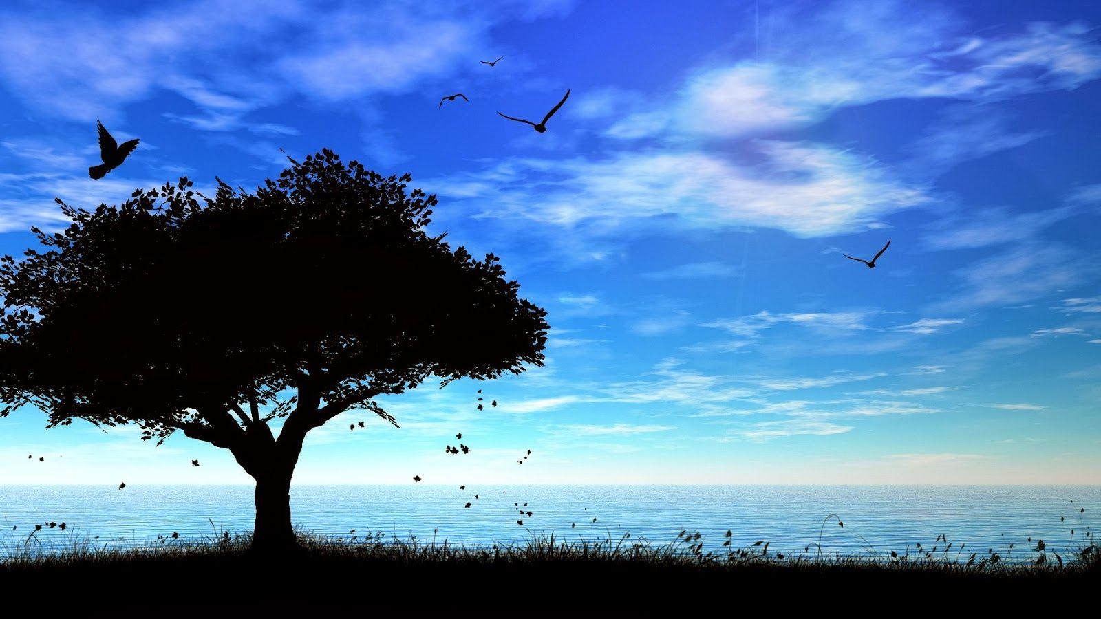 1600x900 Free download HD Wallpaper 1080p Nature Mobile wallpaper [1600x900] for your Desktop, Mobile & Tablet. Explore HD Wallpaper Nature 1080p. Nature HD Wallpaper 1080p Widescreen, Wallpaper 1920x1080 Full HD
