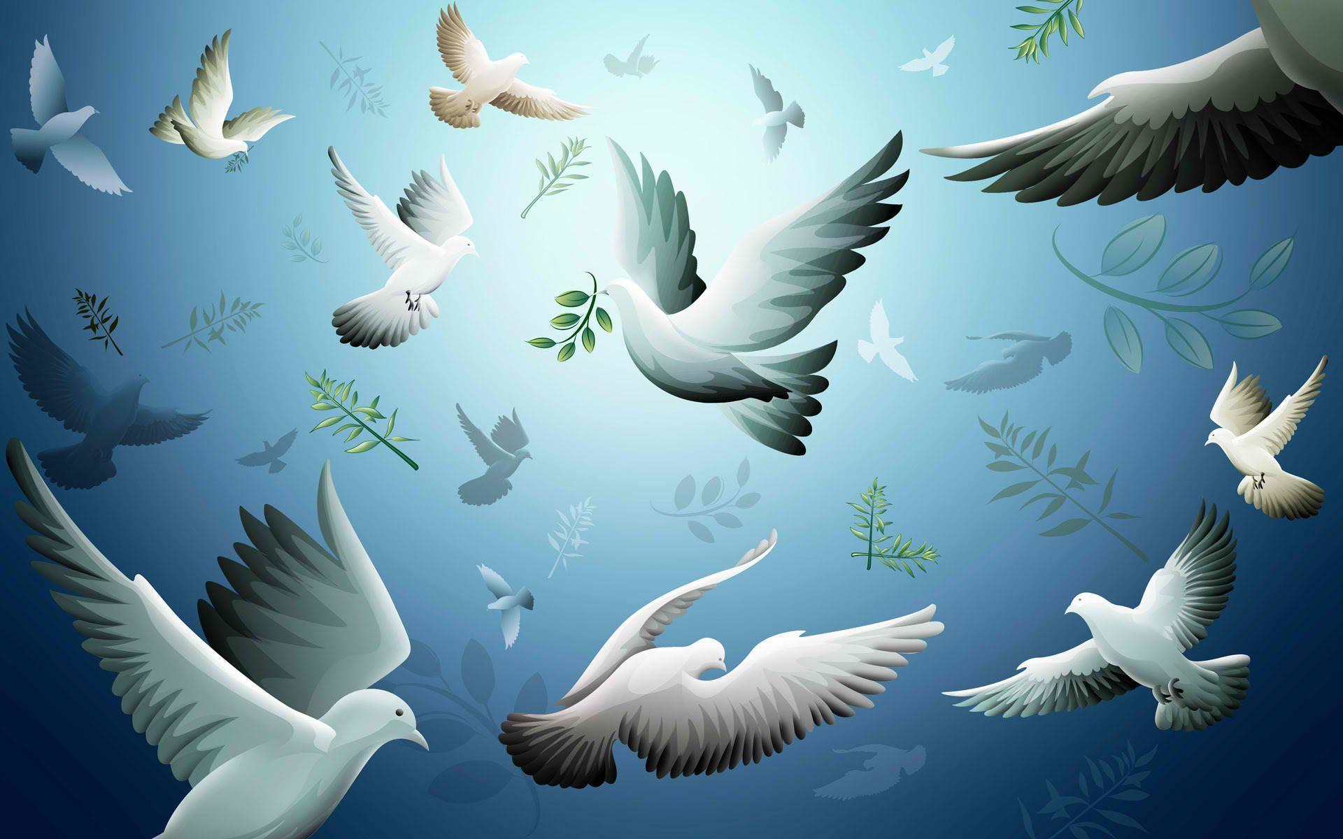 1920x1200 Peace and Social Justice. Free moving wallpaper, Moving wallpaper, Bird wallpaper