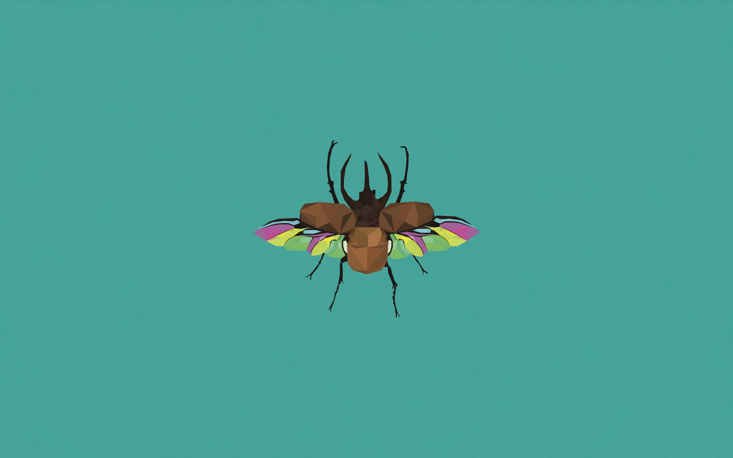 2560x1600 Beetle [OC]
