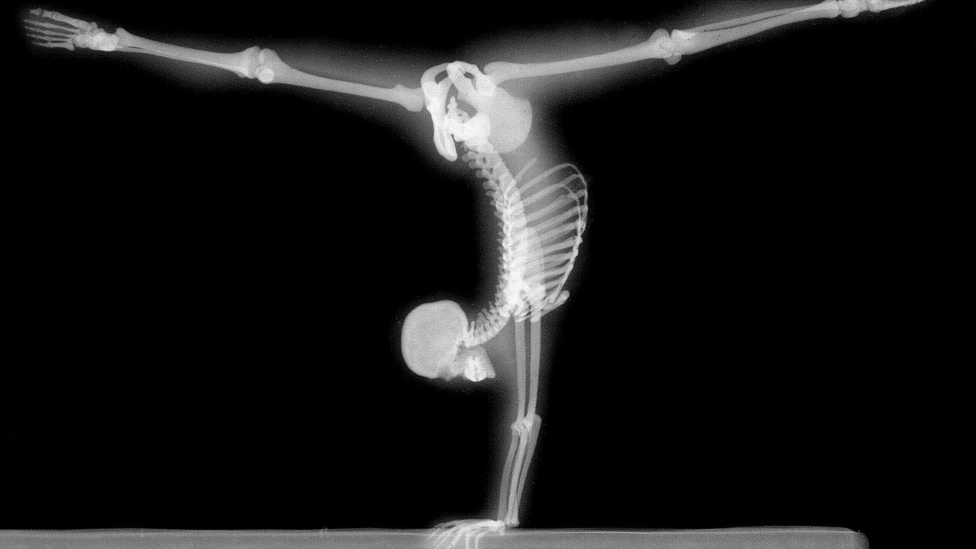 1920x1080 Free download Ray Handstand desktop wallpaper [1920x1200] for your Desktop, Mobile & Tablet. Explore Cool X Ray Wallpaper. X Ray Wallpaper for Computer, X Ray PC Wallpaper Free, Radiology Wallpaper