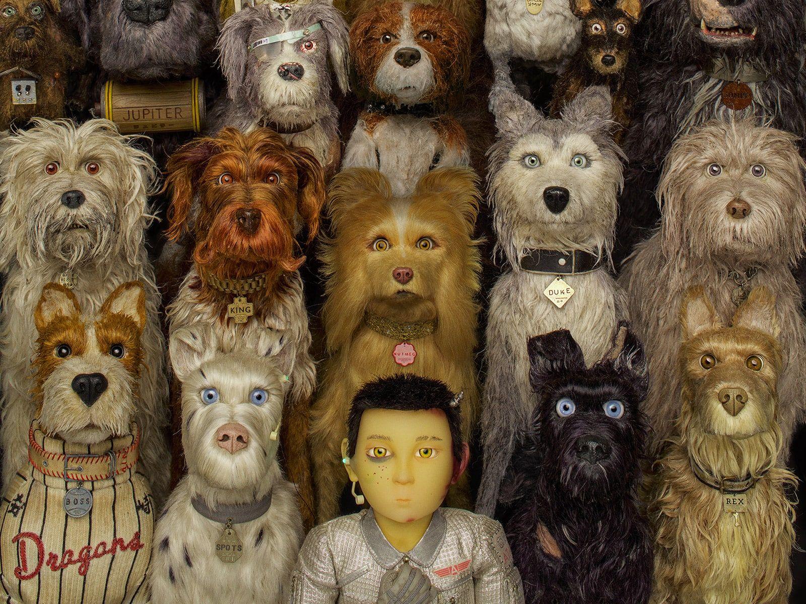 1600x1200 Isle of Dogs HD