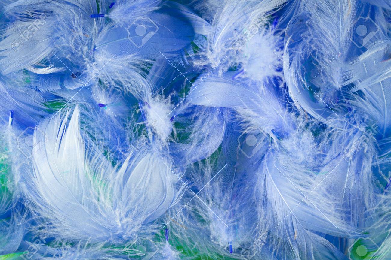 Blue Feather Wallpapers - Top Free Blue Feather Backgrounds