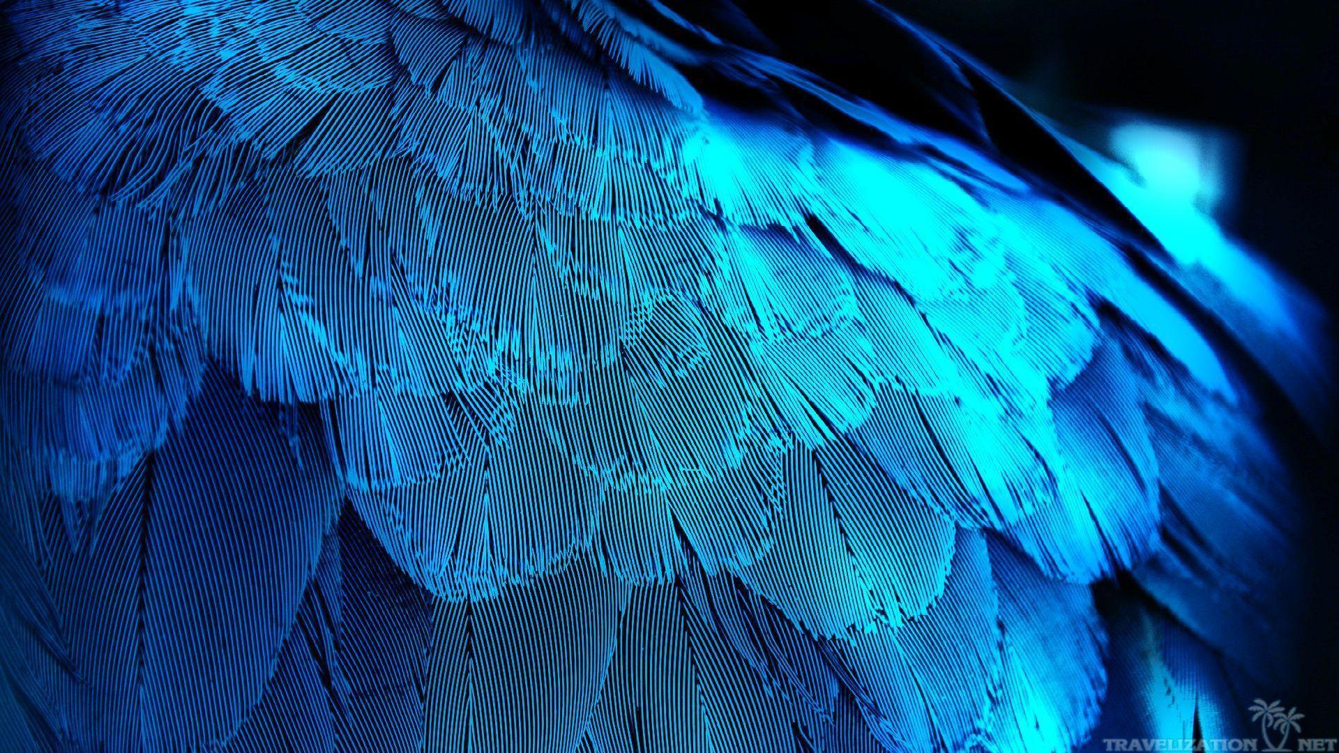 1920x1080 Feather Wallpaper