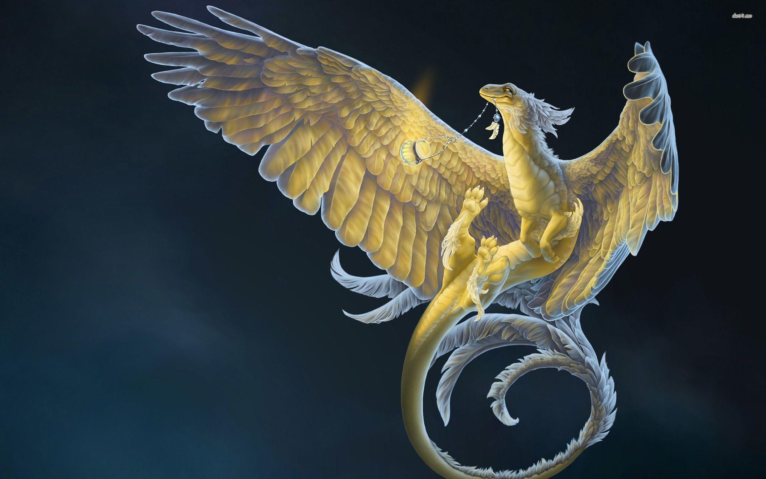 2560x1600 Feather Dragon Wallpaper