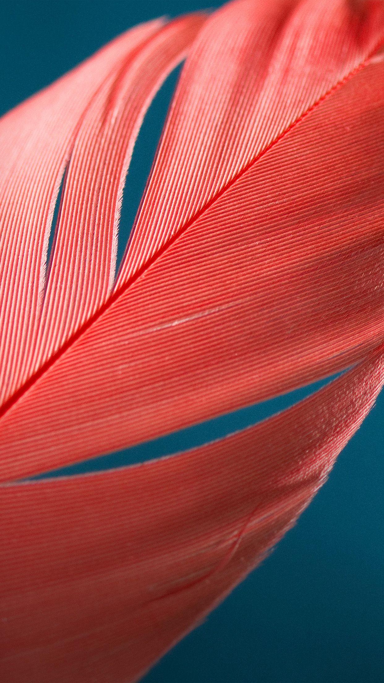 1242x2208 Moto X Style Bird Feather Pattern
