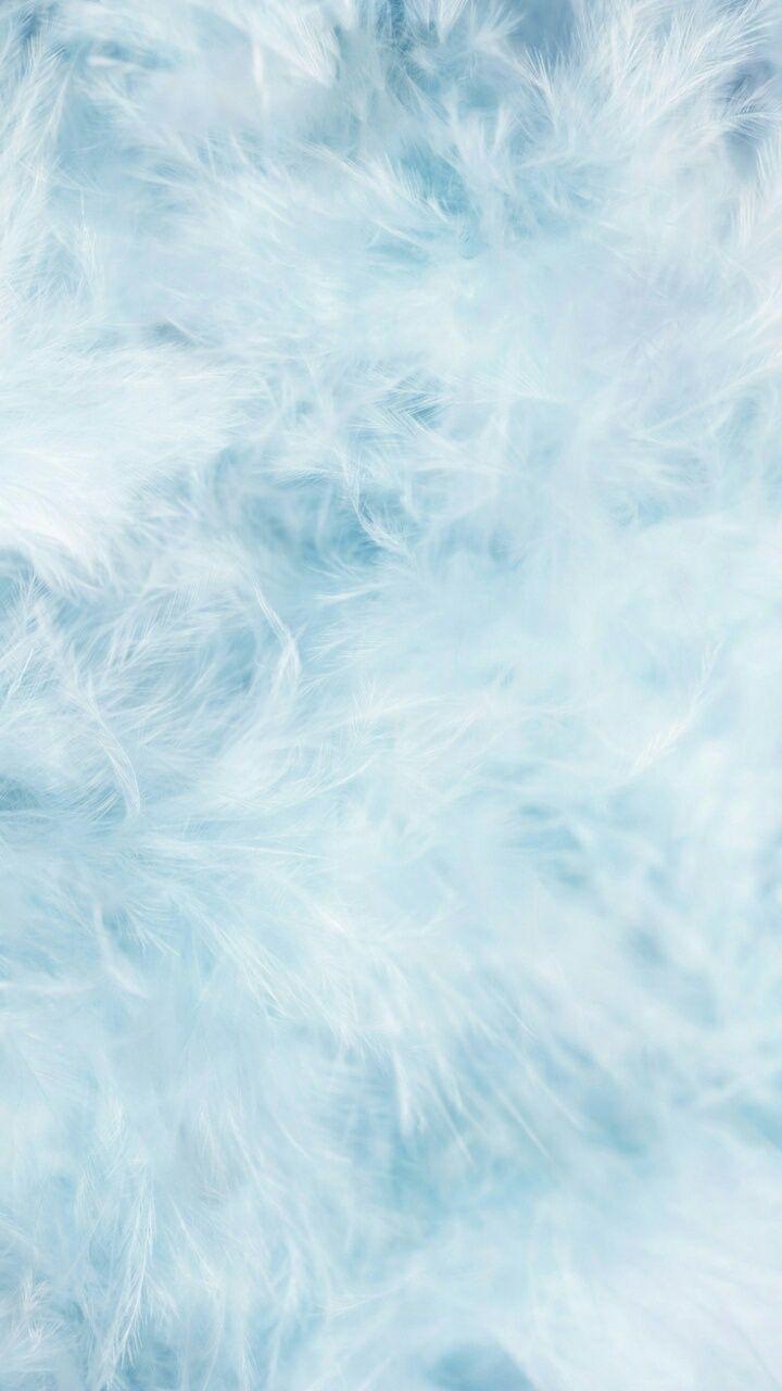Blue Feather Wallpapers - Top Free Blue Feather Backgrounds ...