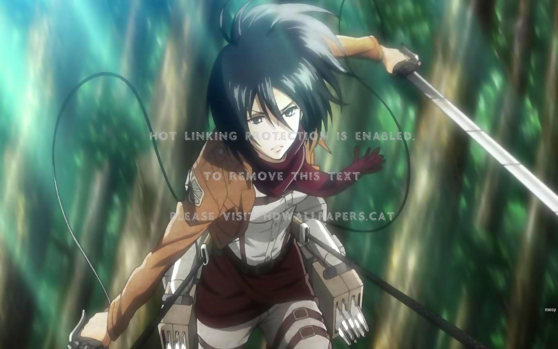 1920x1200 Mikasa Ackerman Attack On Titan Anime No