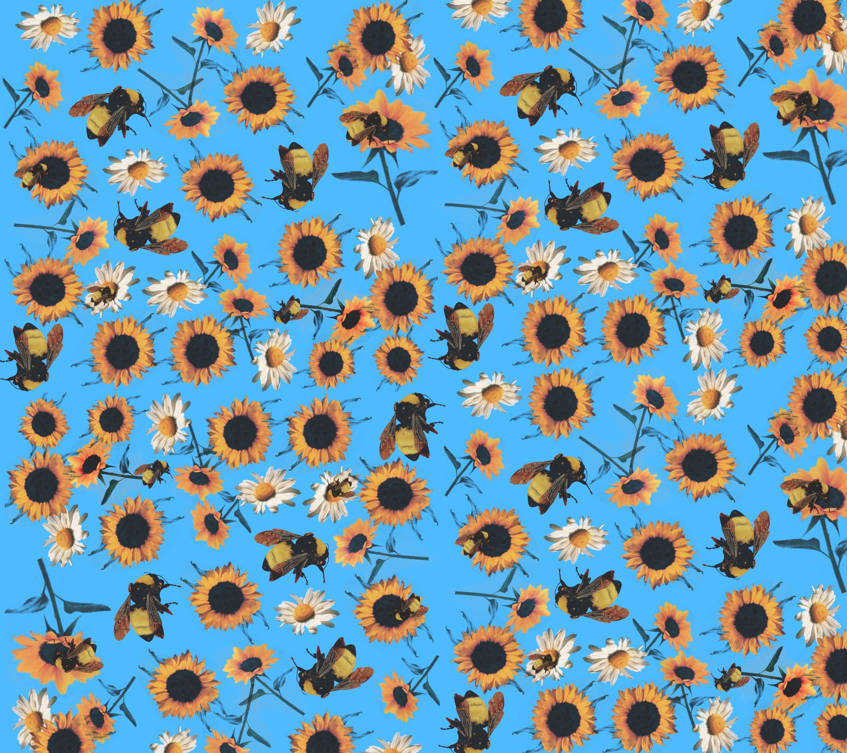 2880x2560 Ofwgkta Background