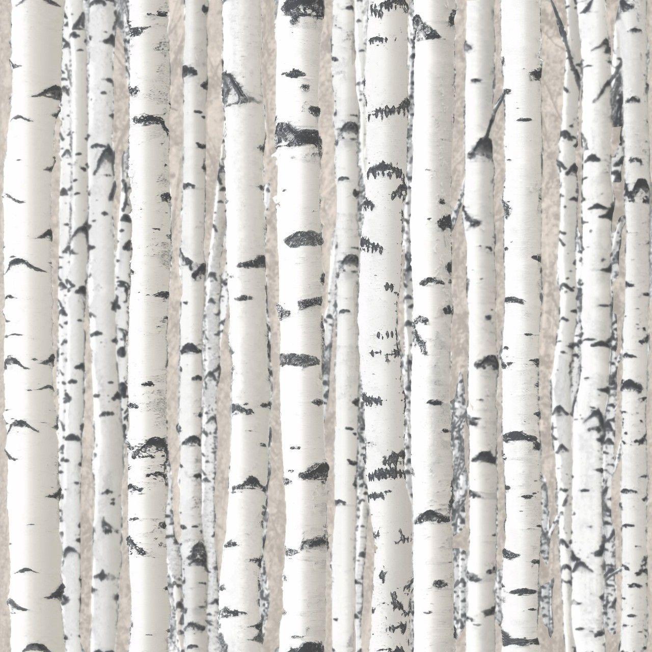 birch tree background