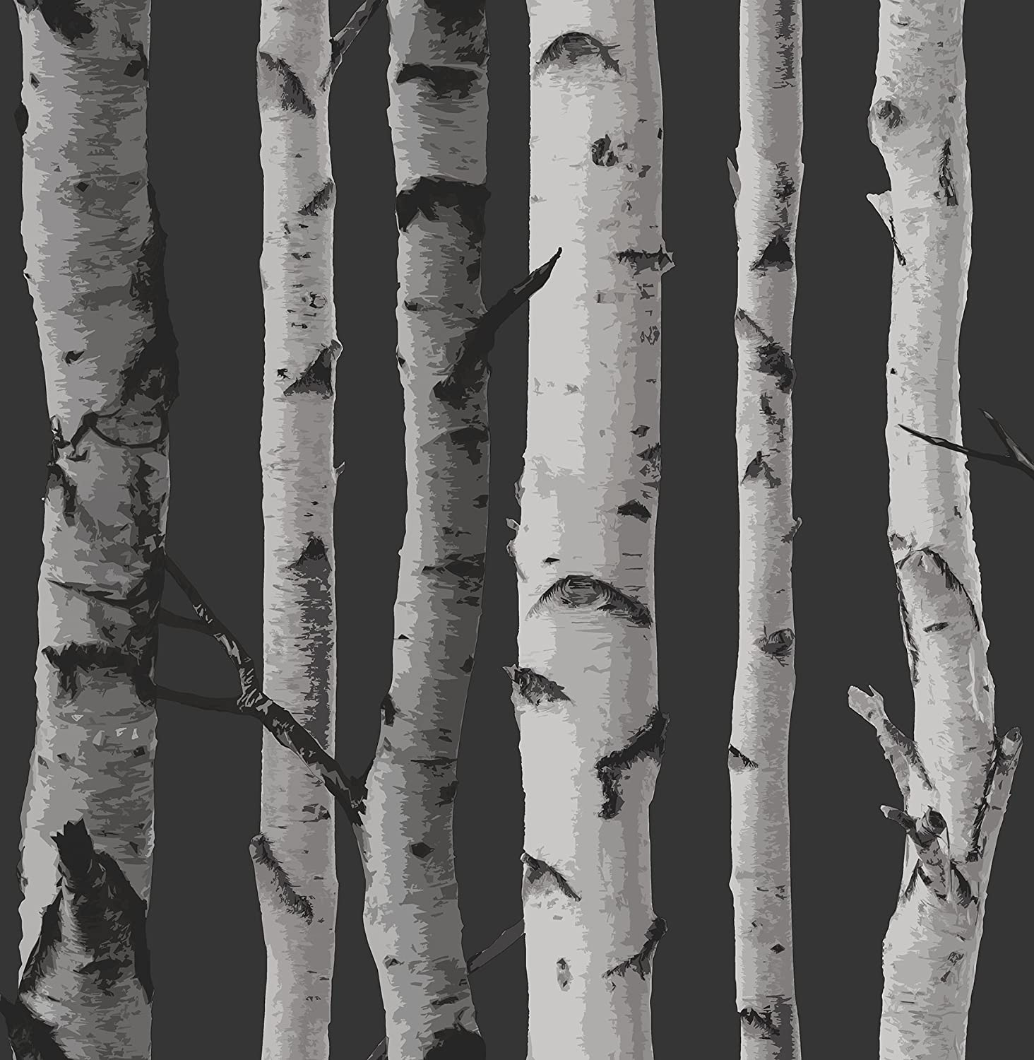 White Birch Wallpapers Top Free White Birch Backgrounds WallpaperAccess 3751642