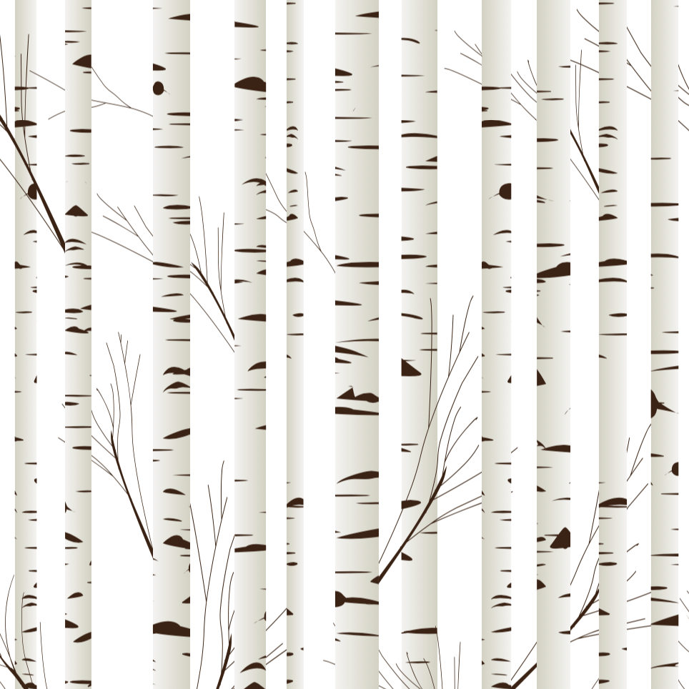 White Birch Wallpapers - Top Free White Birch Backgrounds - WallpaperAccess