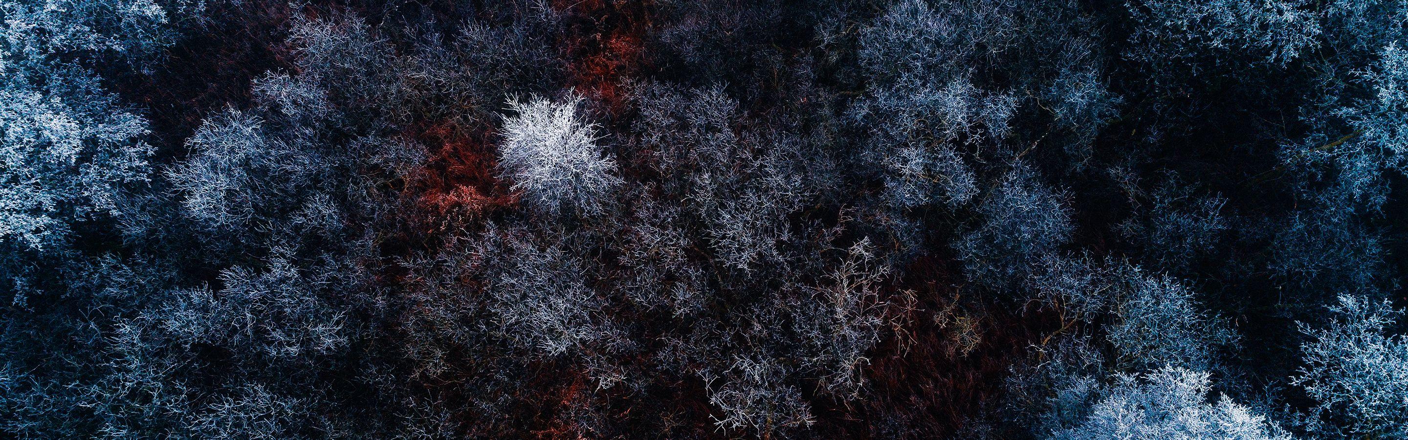 2880x900 2880 X 900 Background X 1800 Wallpaper, Horn of Plenty Wallpaper 2880 X 1800 and Retina Display Wallpaper 2880 X 1800