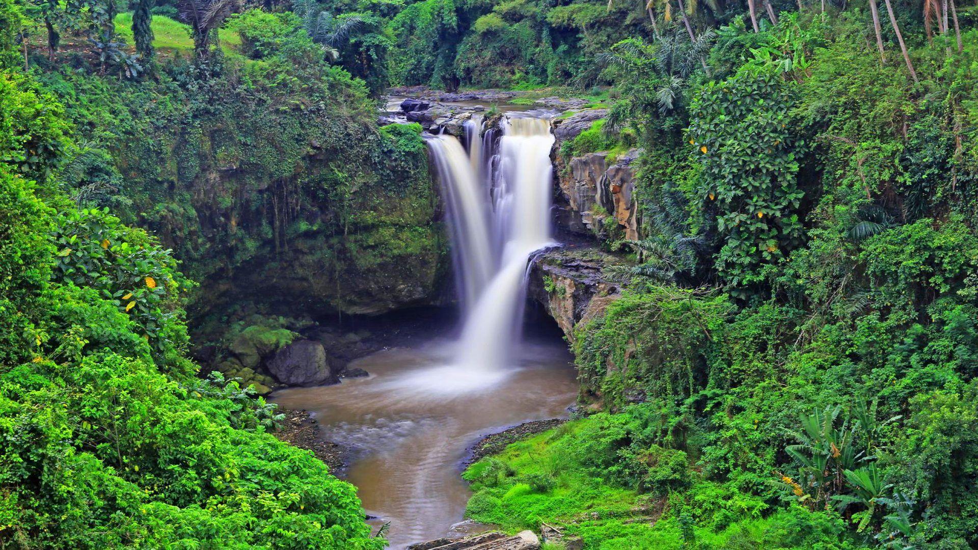 1920x1080 Tropical Waterfall Tegenungan Waterfall Ubud Indonesia Tropical Forest Palms Rock Green Vegetation HD Wallpaper For Desktop Pc Tablet And Mobile 2560x1600 :
