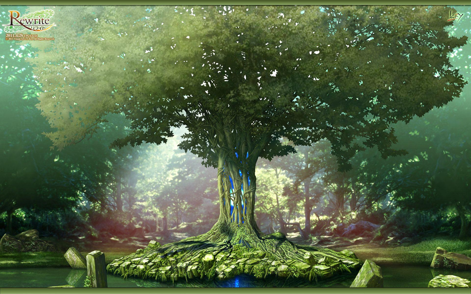 1920x1200 Tree of Life Desktop Wallpaper