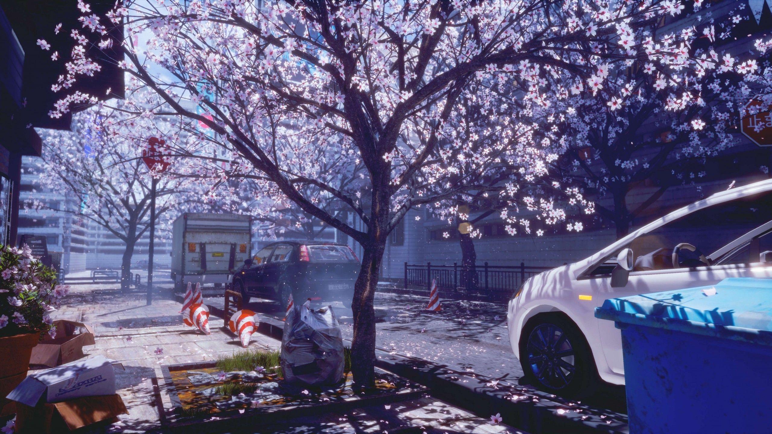 2560x1440 Download 2560x1440 Anime City, Spring, Cherry Blossom Wallpaper for iMac 27 inch
