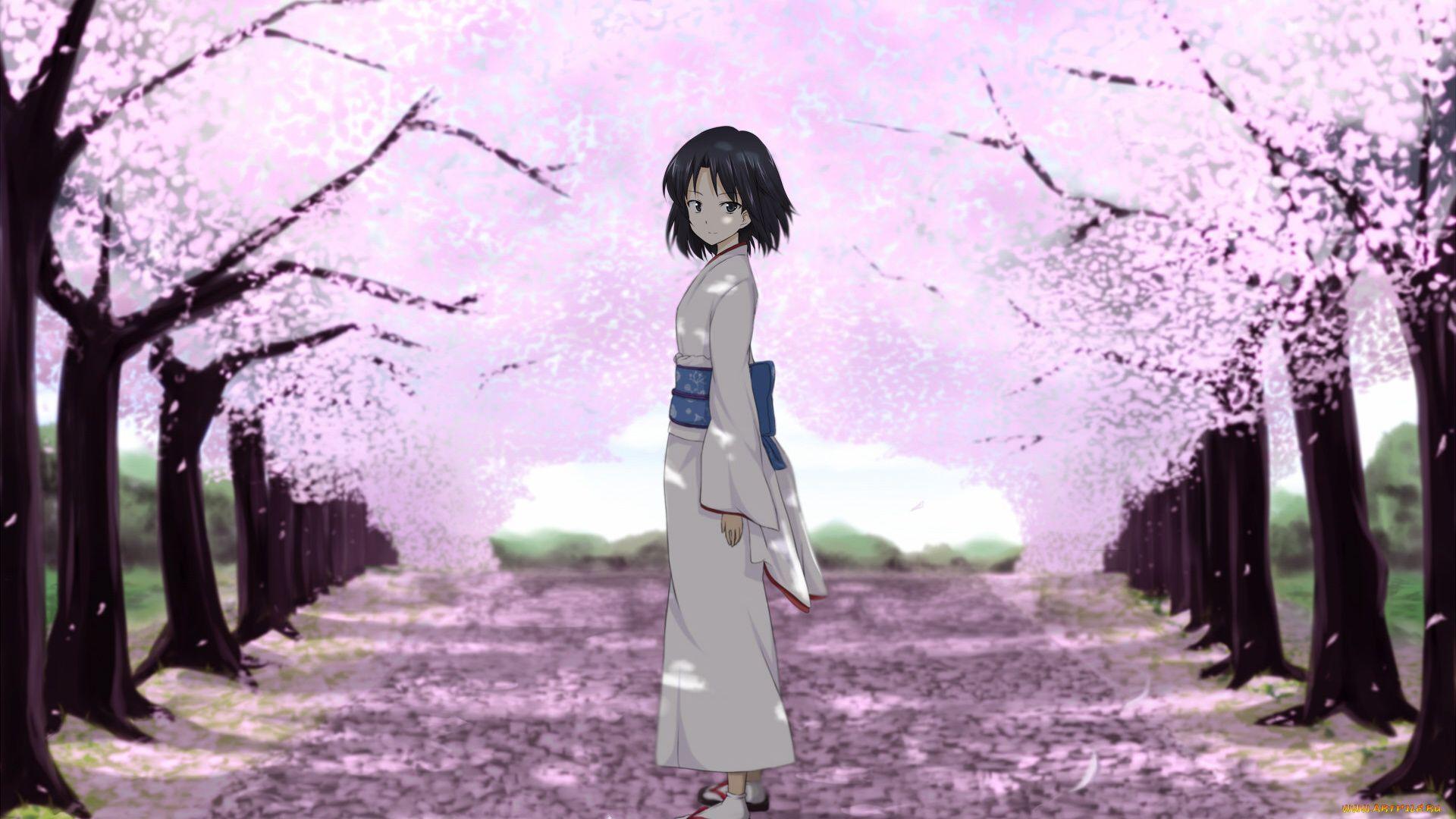 1920x1080 Anime Cherry Blossom Wallpaper