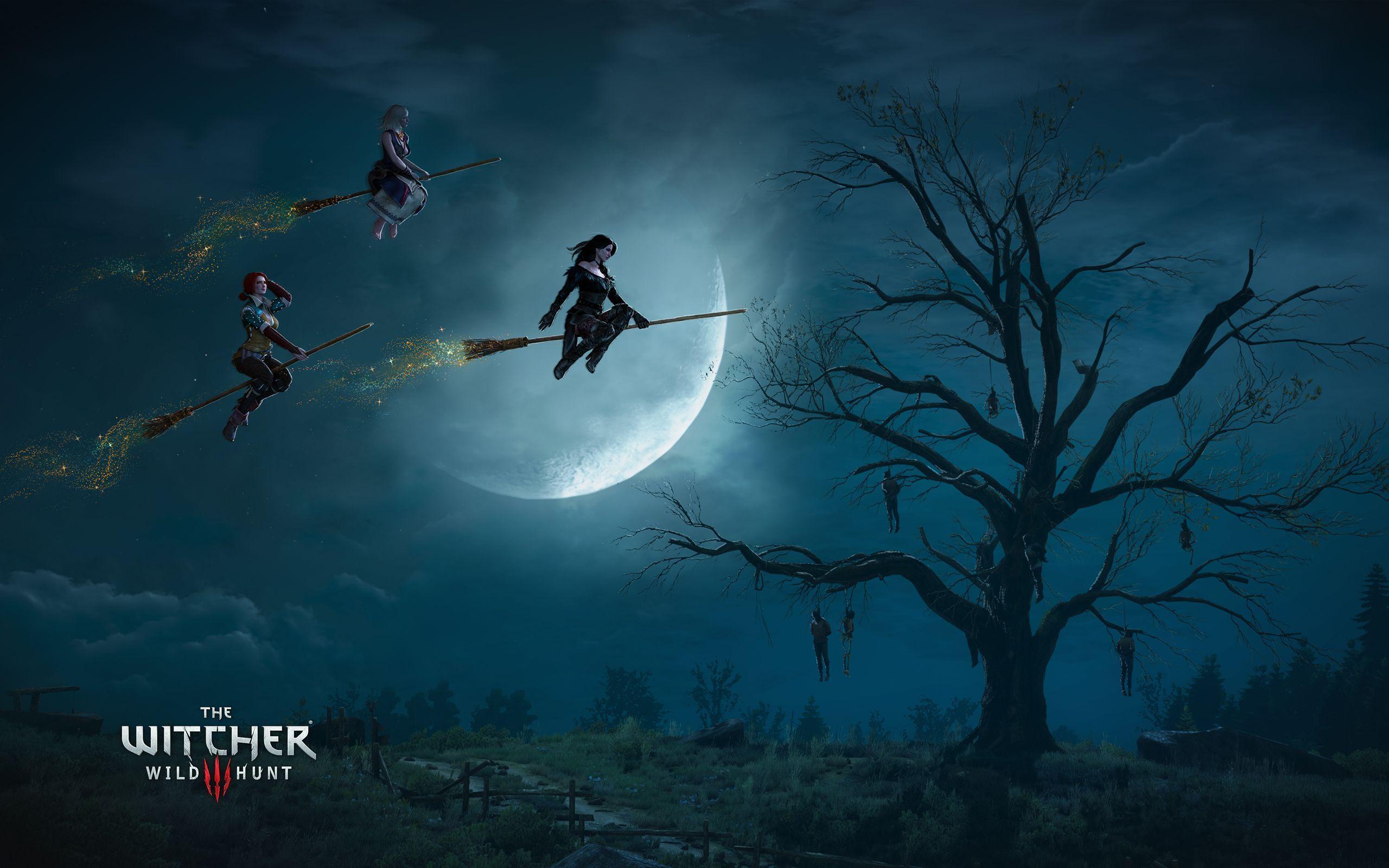 2560x1600 The Witcher 3 Wild Hunt Witches Wallpaper