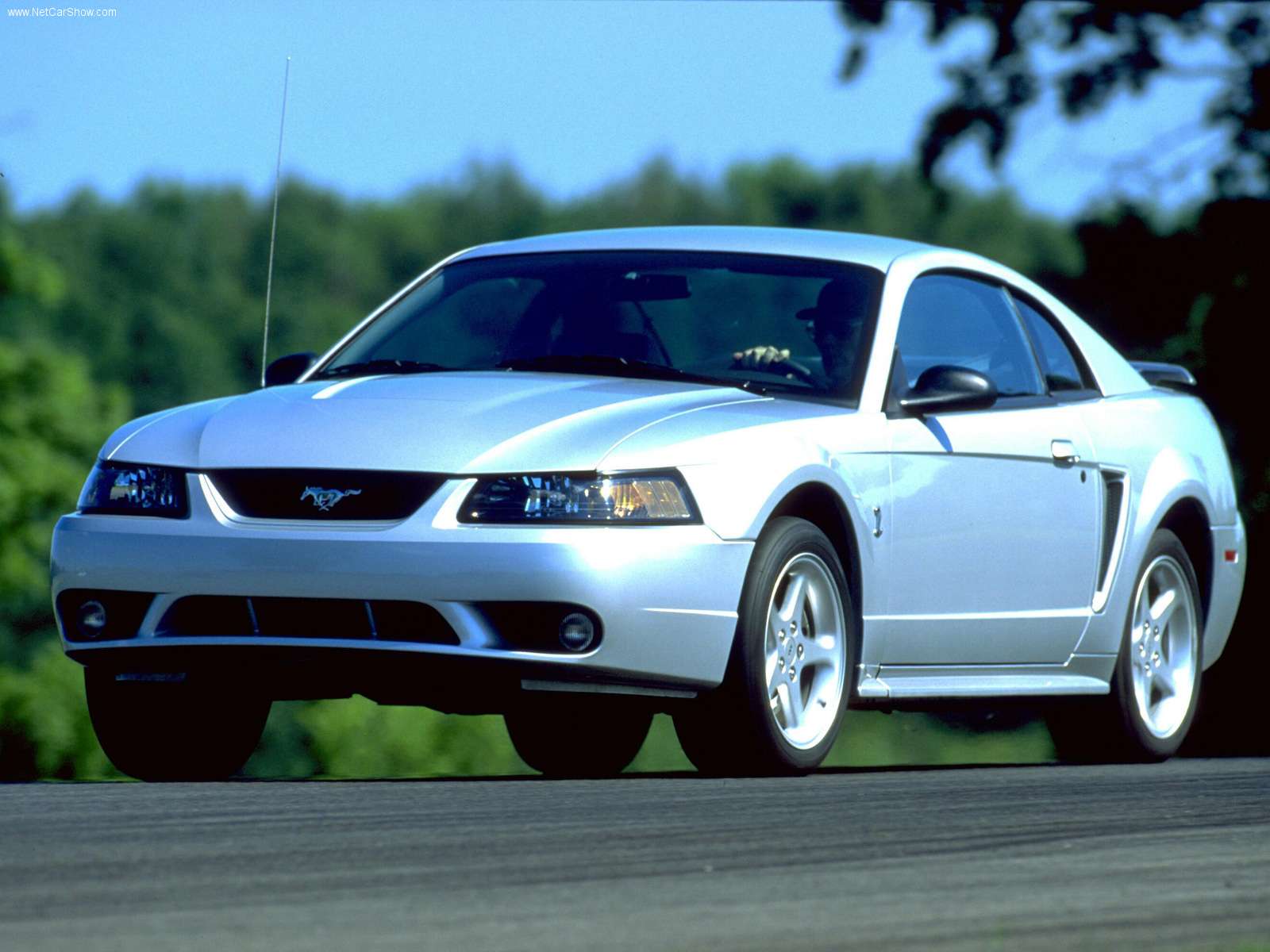 1600x1200 Cool Mustang Wallpaper