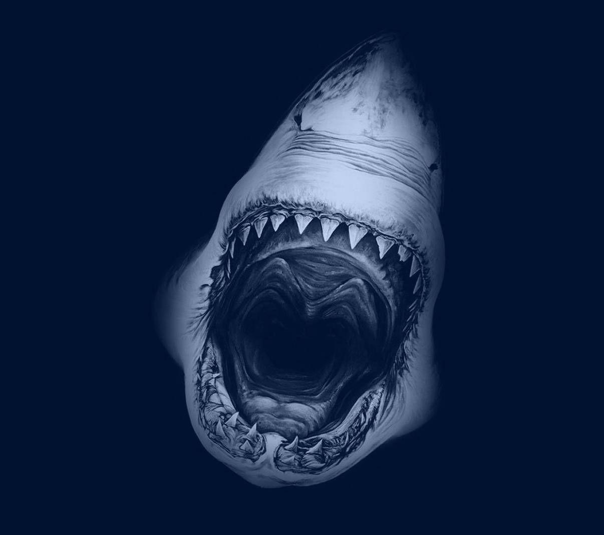 1206x1069 Shark Attack wallpaper