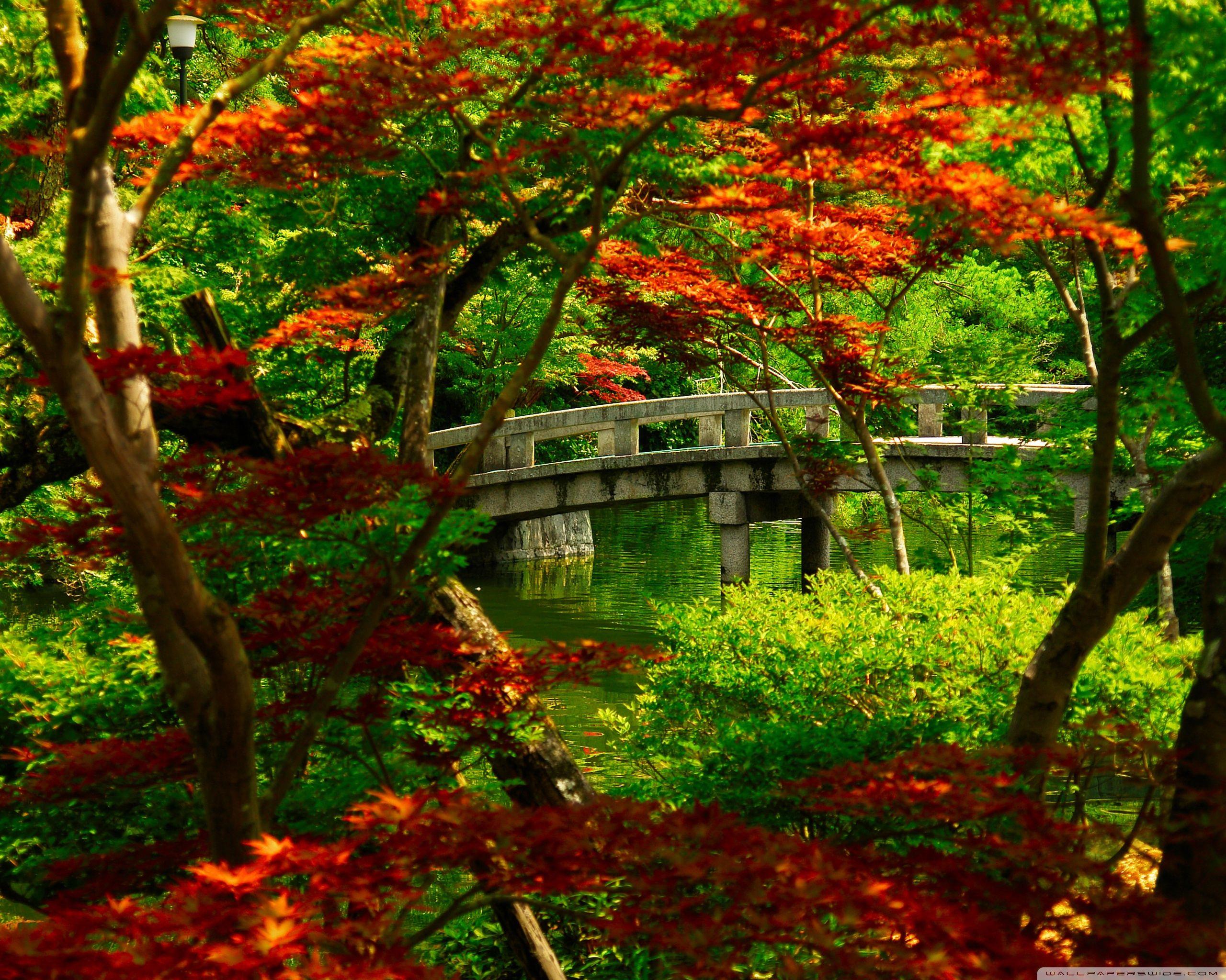 2560x2048 Japanese Garden (Kyoto) ❤ 4K HD Desktop Wallpaper for 4K Ultra HD