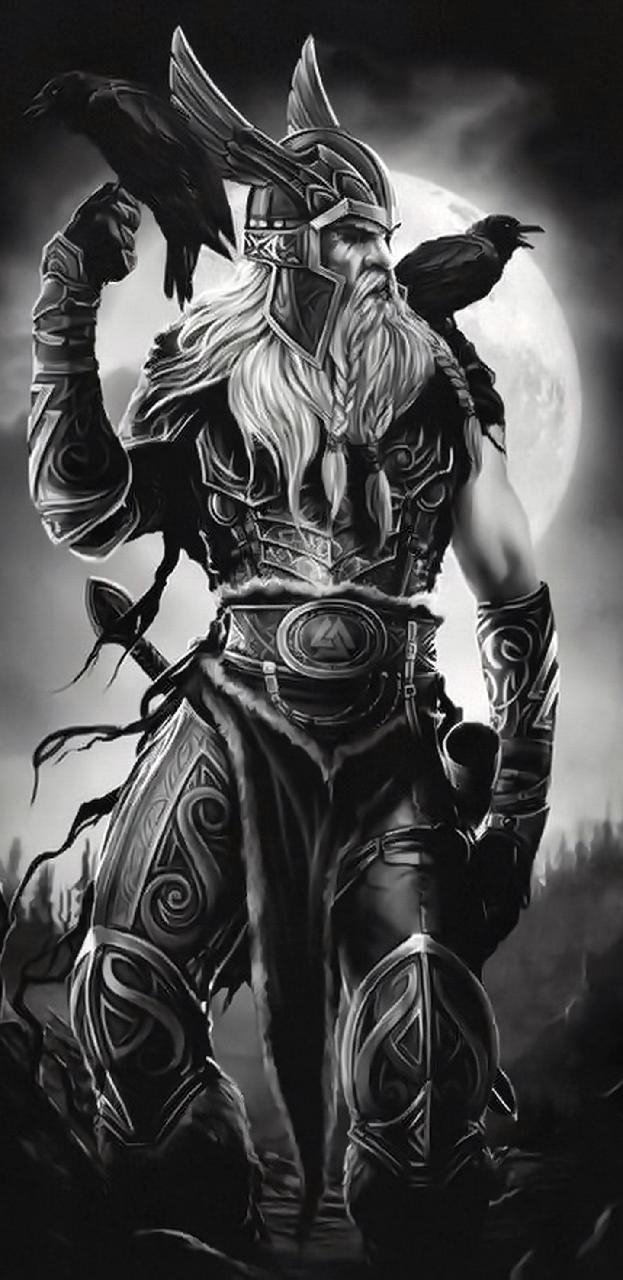 623x1280 Download Odin and his ravens Wallpaper