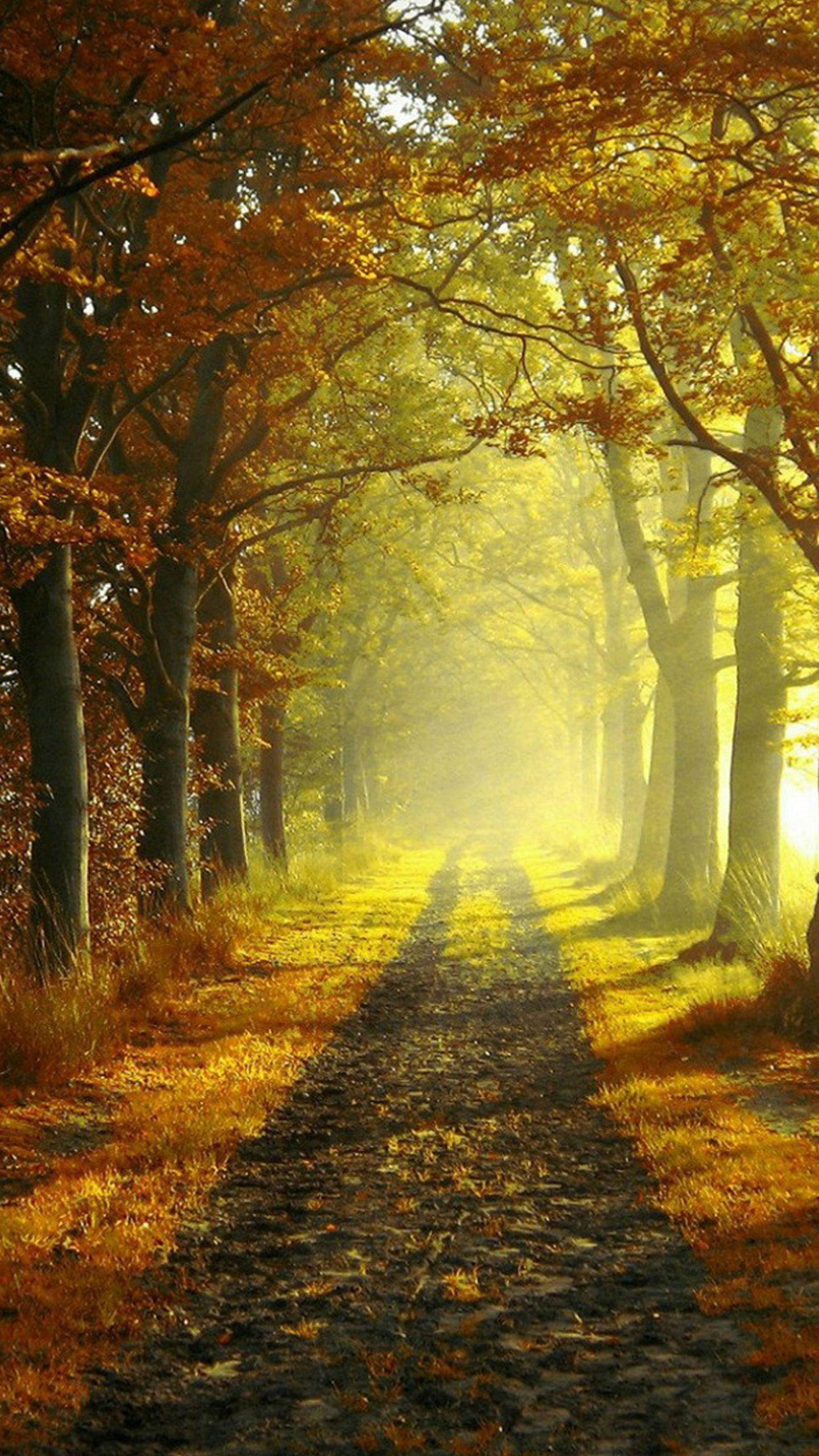 Countryside iPhone Wallpapers Top Free Countryside iPhone Backgrounds