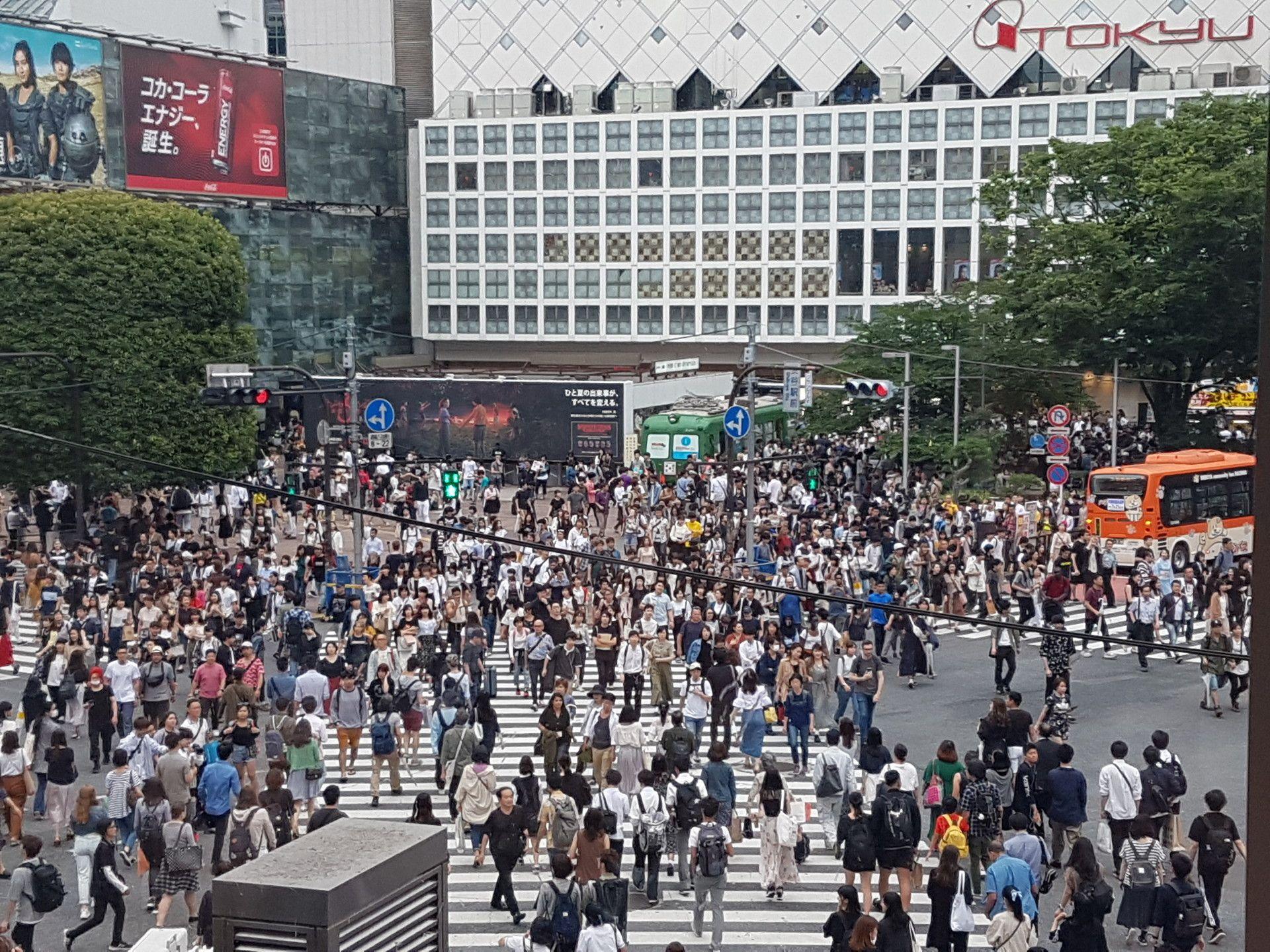 1920x1440 Shibuya Crossing. Erasmus blog Tokyo, Japan