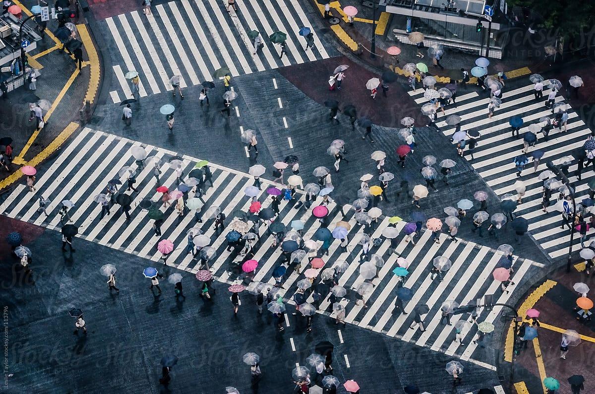 1200x794 People With Umbrellas At Shibuya Crossing On A Rainy Day