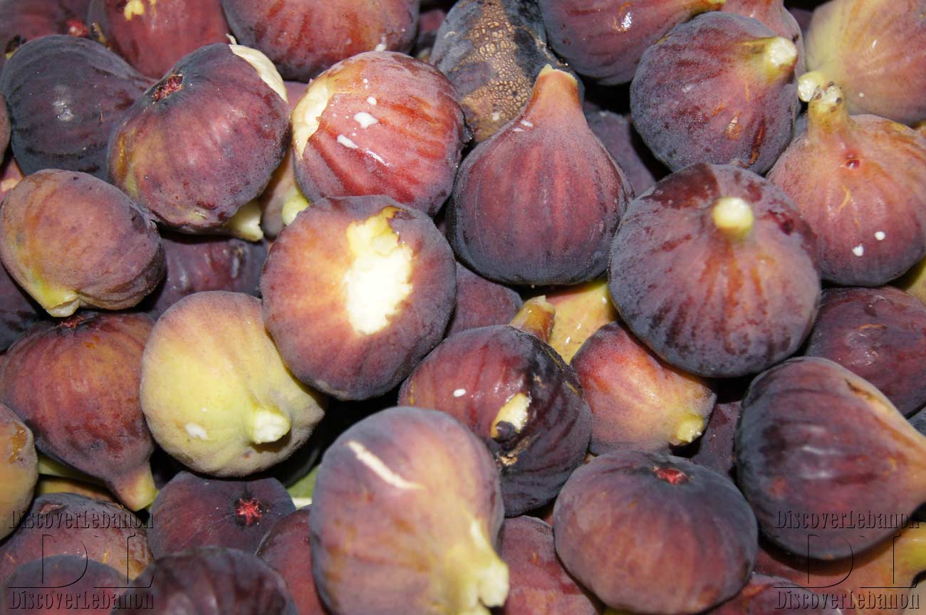 1300x864 Wallpaper fruit of Lebanon black figs of Lebanon