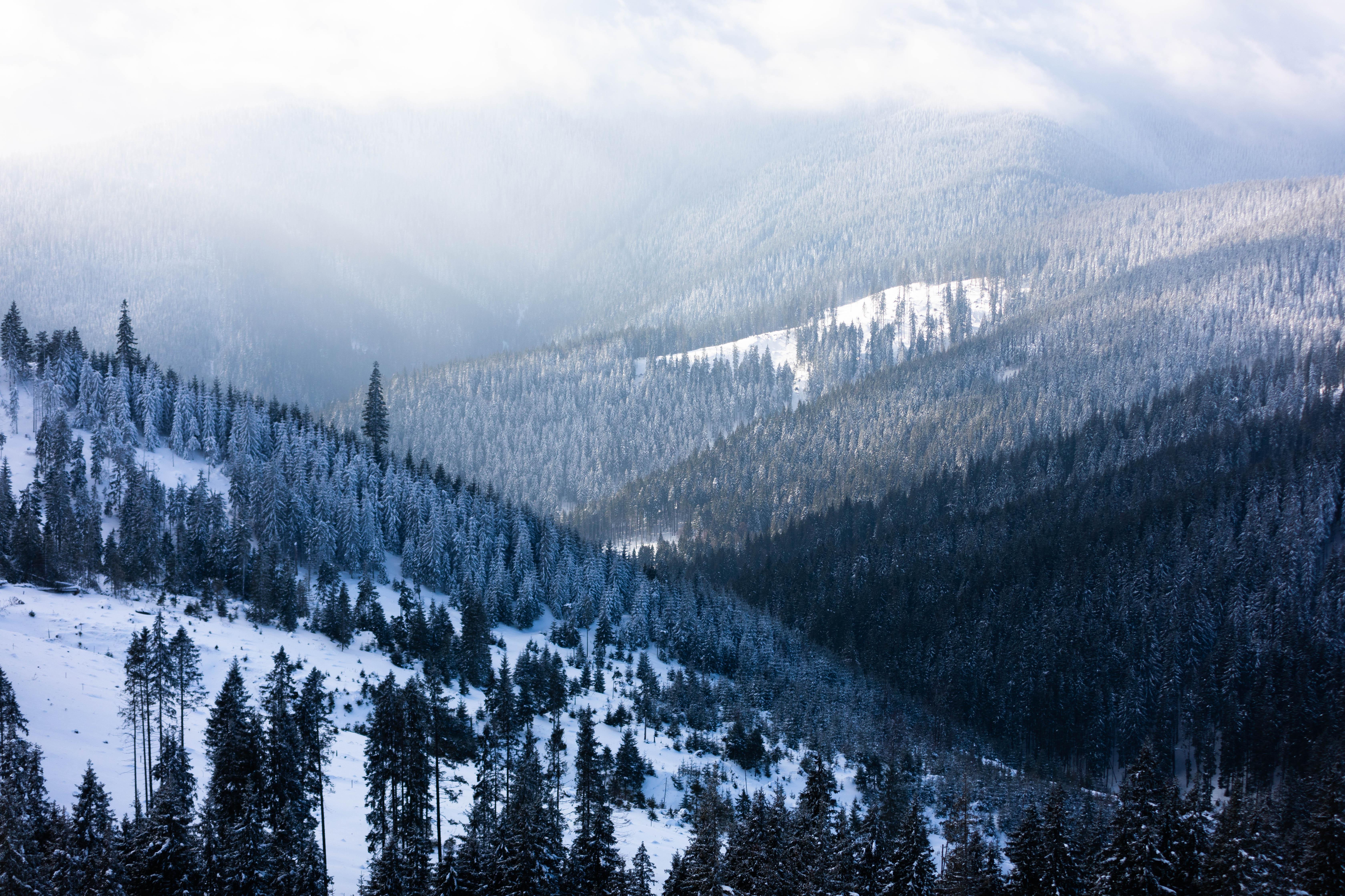6720x4480 Romanian 4K wallpaper for your desktop or mobile screen free and easy to download