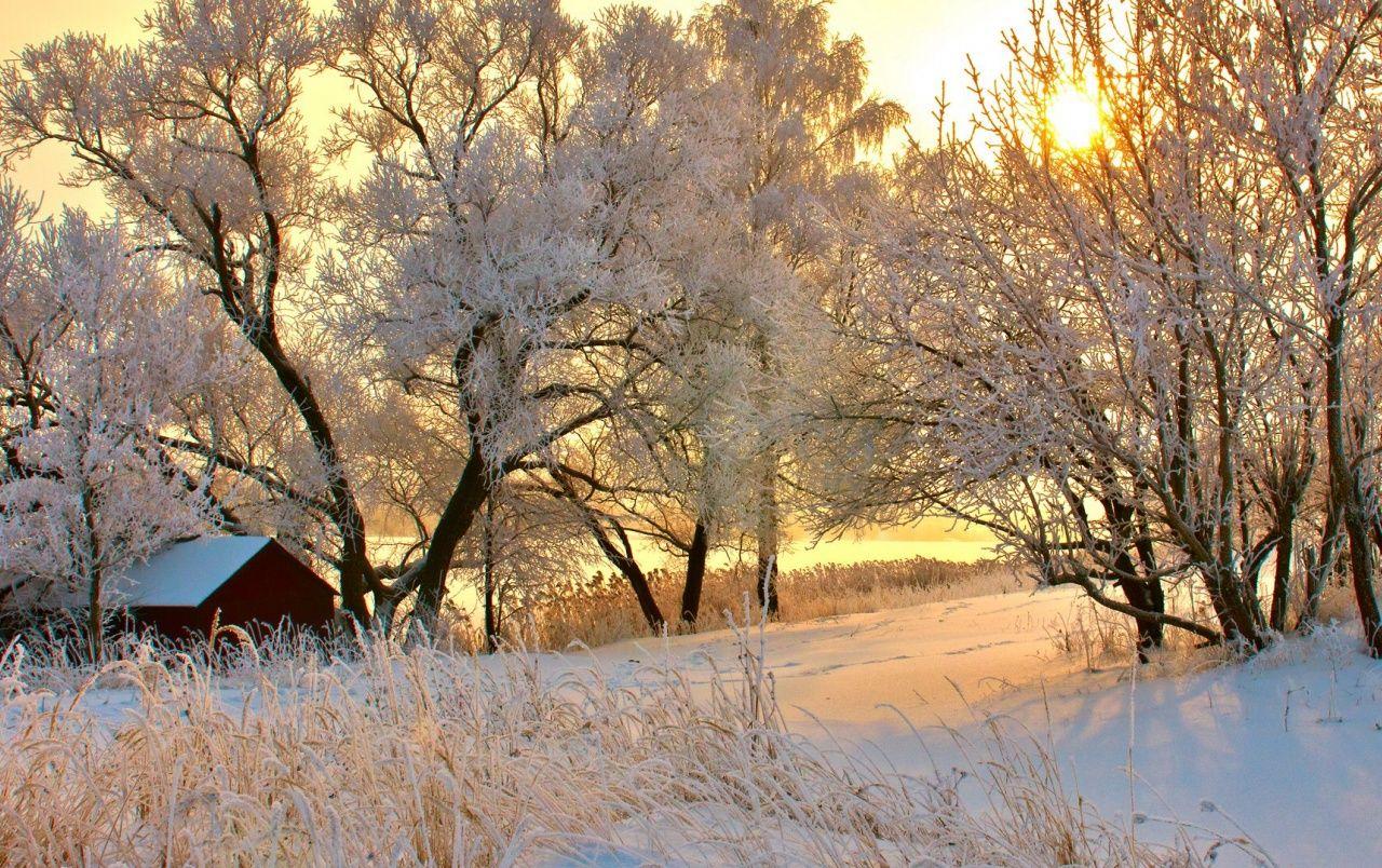 1280x804 Romanian Winter wallpaper. Romanian Winter