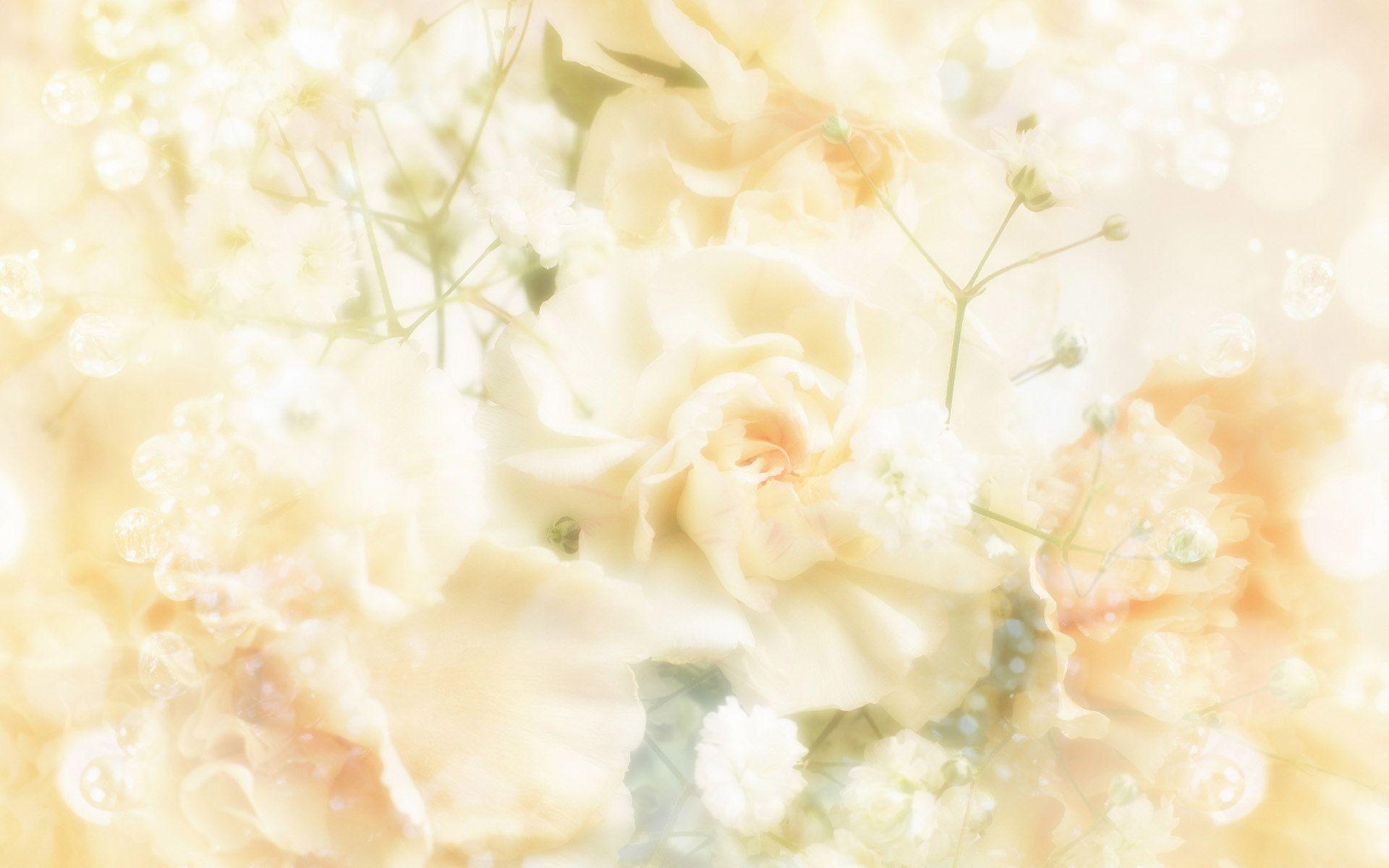 1920x1200 Wallpaper Wedding