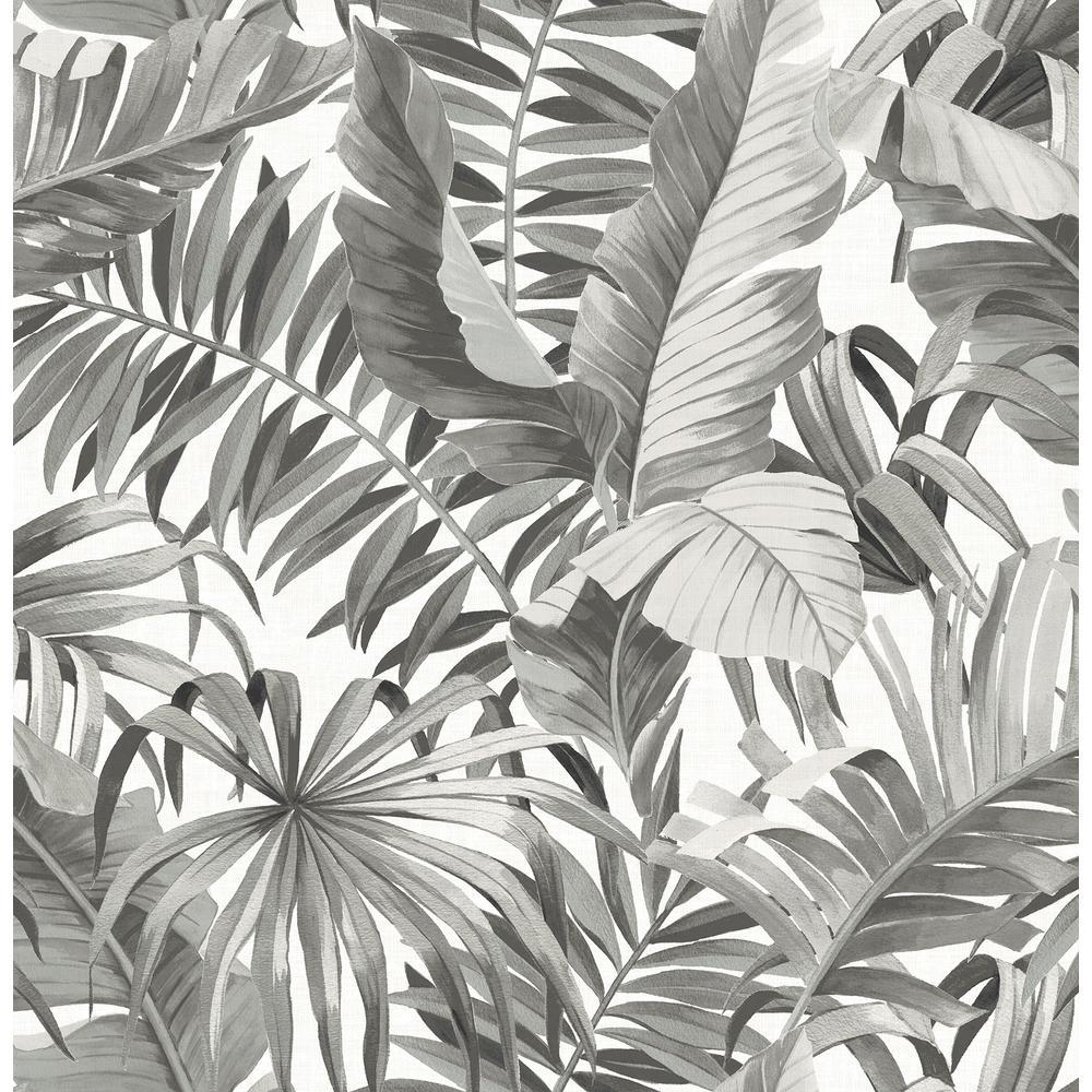 1000x1000 A Street Alfresco Black Palm Leaf Paper Strippable Roll Wallpaper (Covers 56.4 Sq. Ft.) 2744 24134 Home Depot