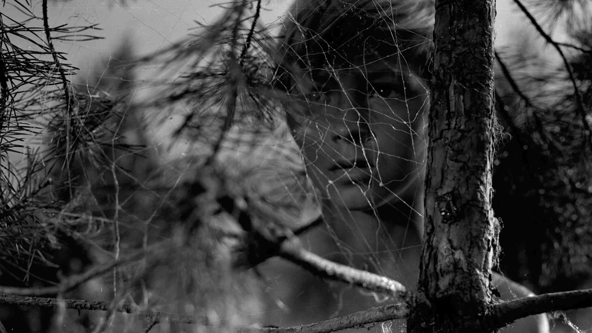 1920 X 1080 Tarkovsky Wallpapers Top