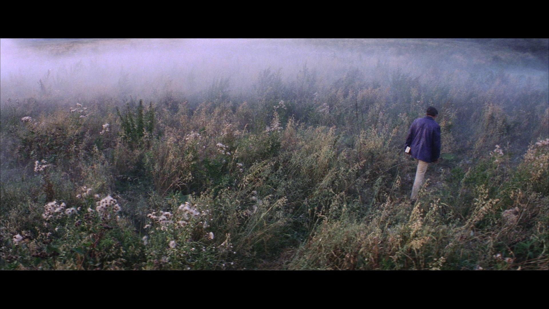 1920 X 1080 Tarkovsky Wallpapers Top