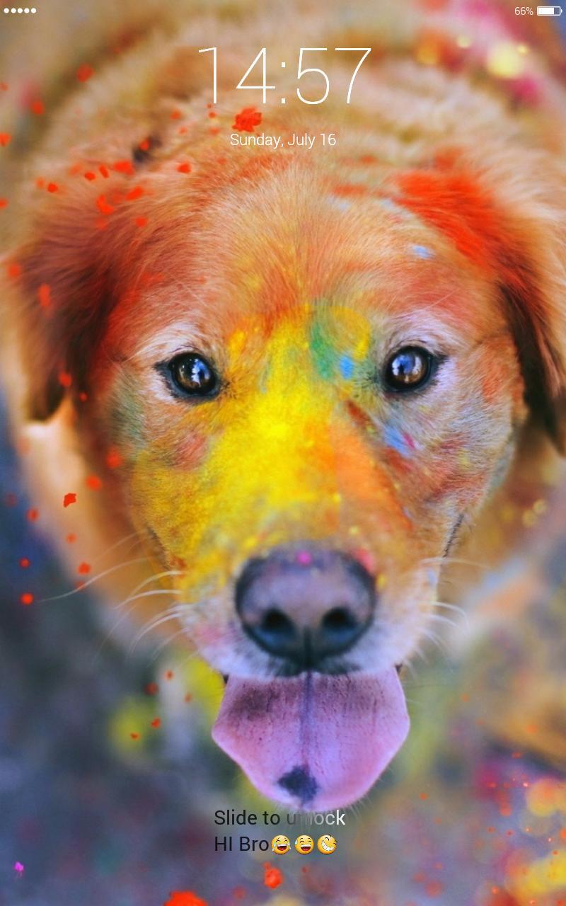 800x1280 Holi festival color powder lock screen wallpaper for Android