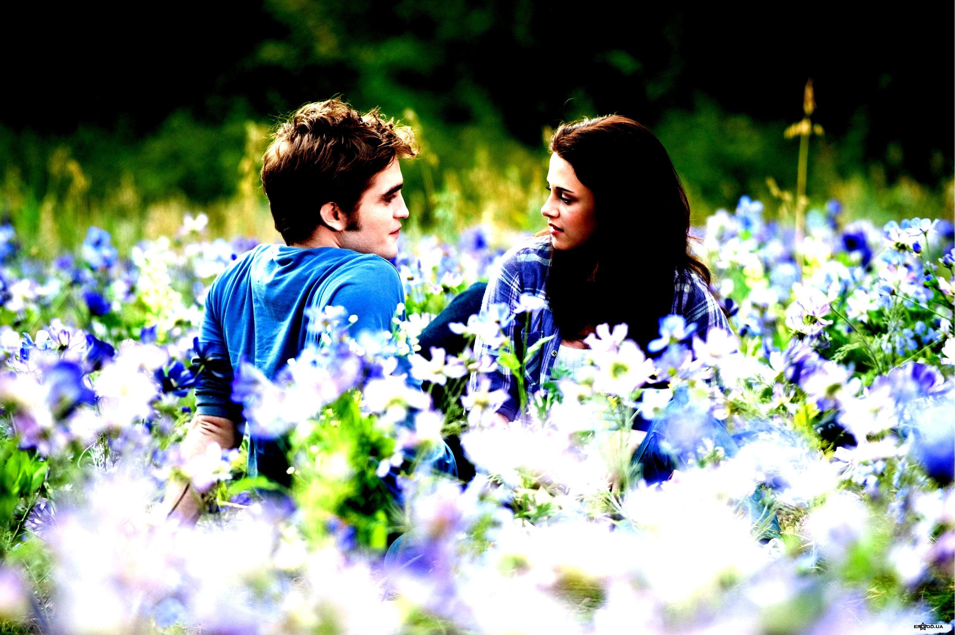 Twilight romance. Цветы в сумерках. Сумерки цветы на поле. Юноша дарит цветы. Девушка с васильками.