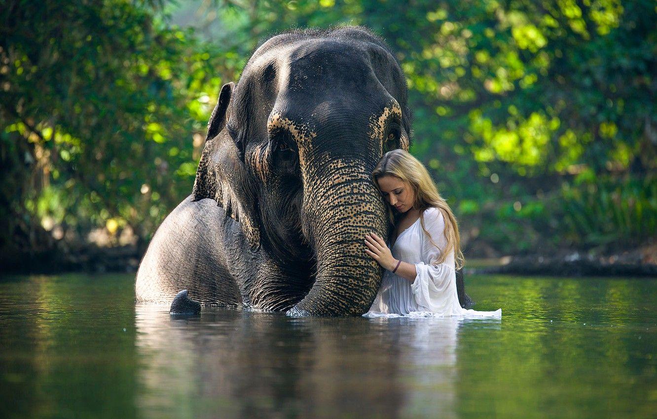 1332x850 Wallpaper girl, elephant, in the water image for desktop, section ситуации