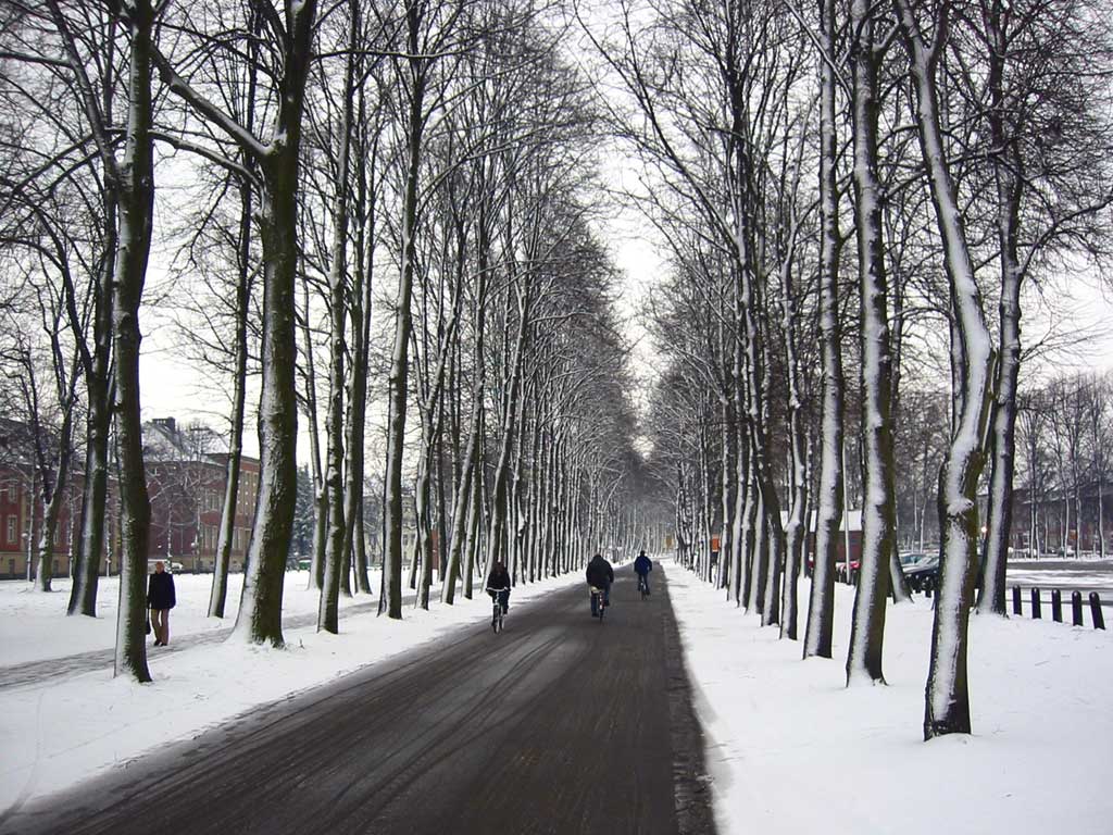 1024x768 Münster Wallpaper: Prinzipalmarkt, Dom, Promenade, Aasee, Send, Kreuzviertel, Aaseekugeln, Fahrräder