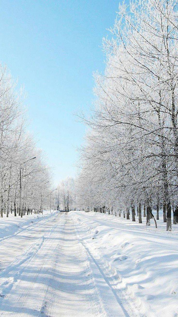 736x1308 Snow Winter iPhone Wallpaper Download free. Background #fondecranhiver. iPhone wallpaper winter, Snow wallpaper iphone, Winter snow wallpaper