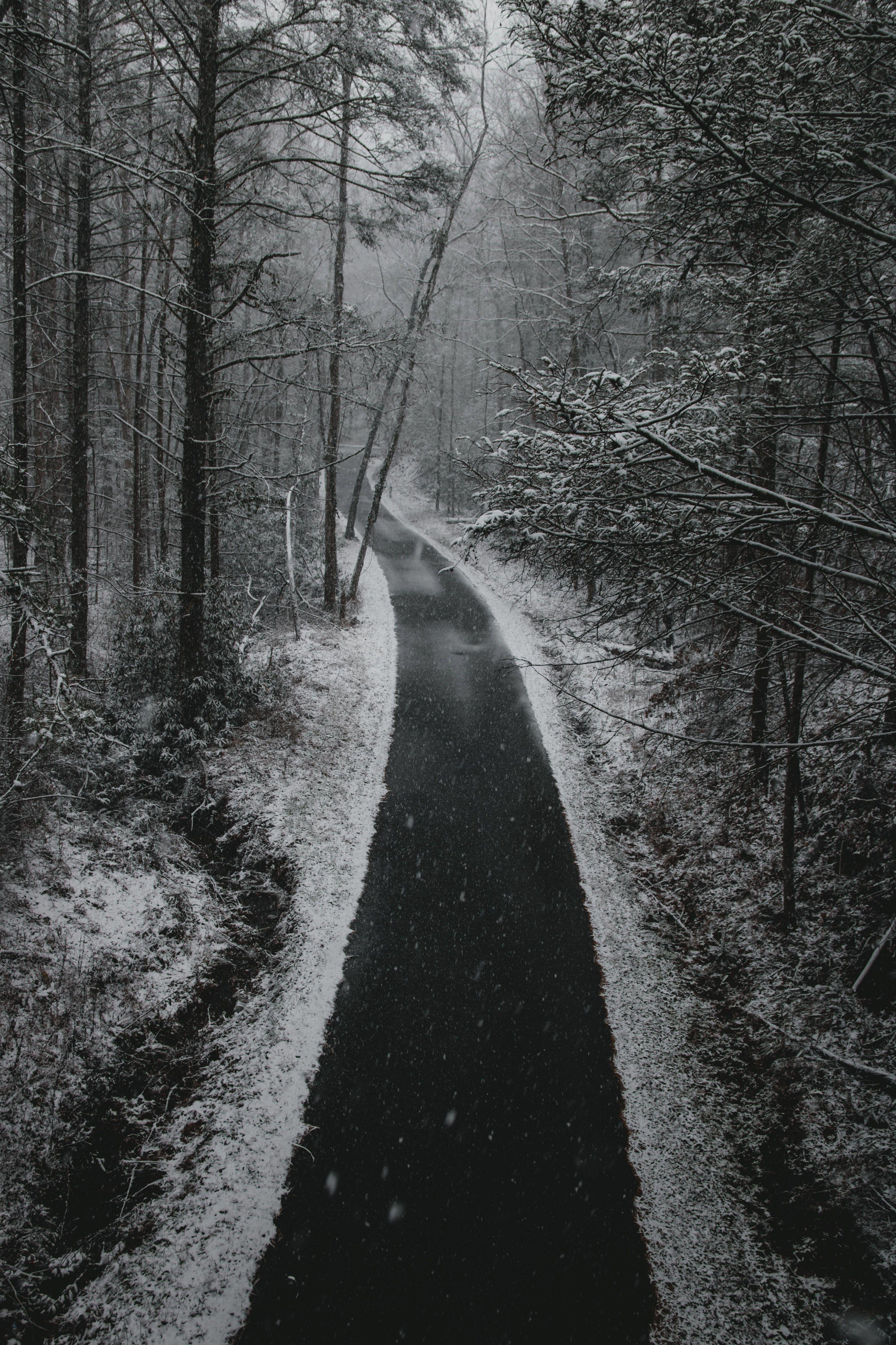 3840x5760 Wallpaper / road track snow and winter HD 4k wallpaper