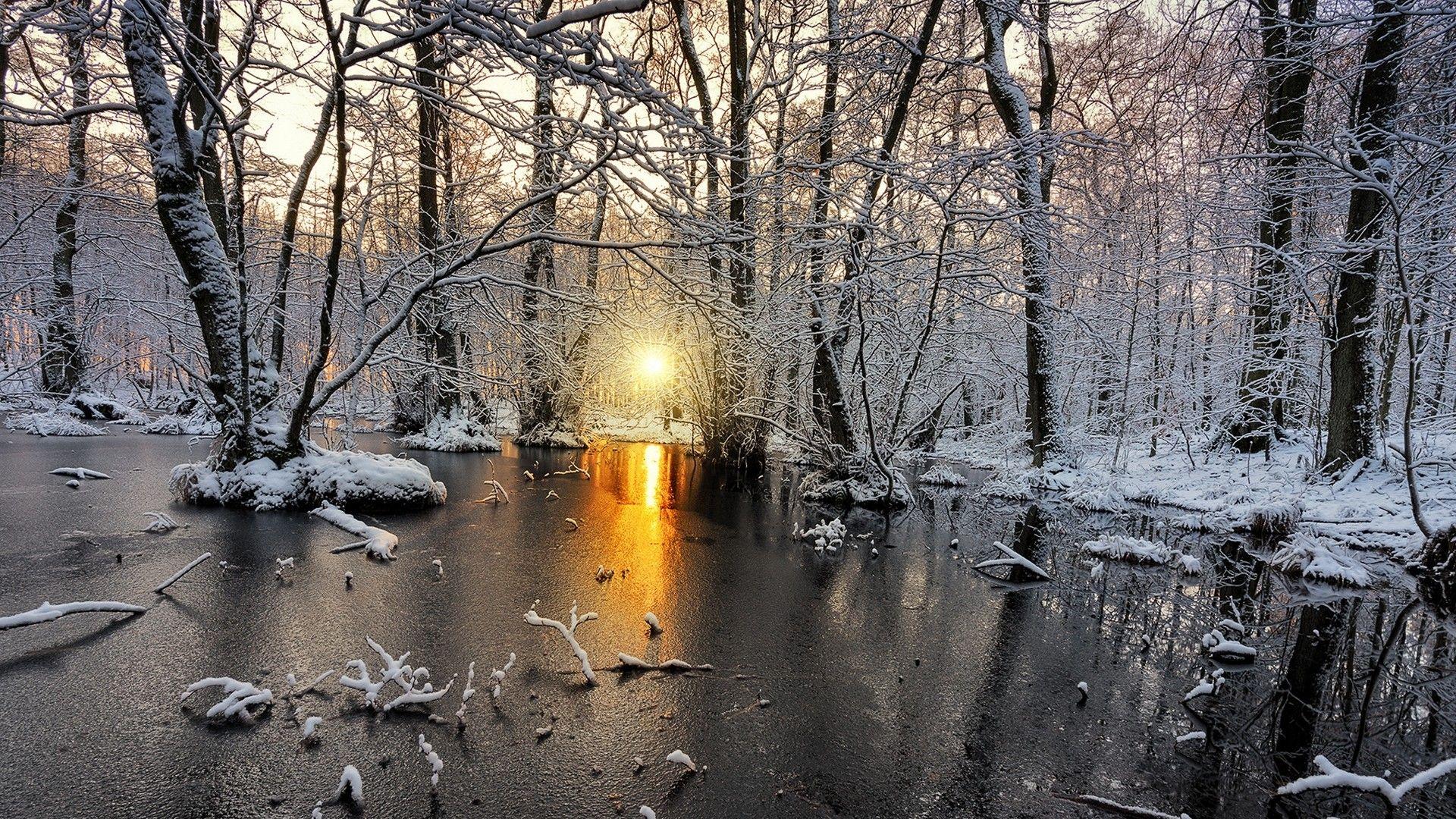 1920x1080 #cold, #Sweden, #trees, #landscape, #nature, #yellow, #sunlight, #snow, #forest, #white, #frost, #winter, wallpaper. Mocah.org HD Wallpaper