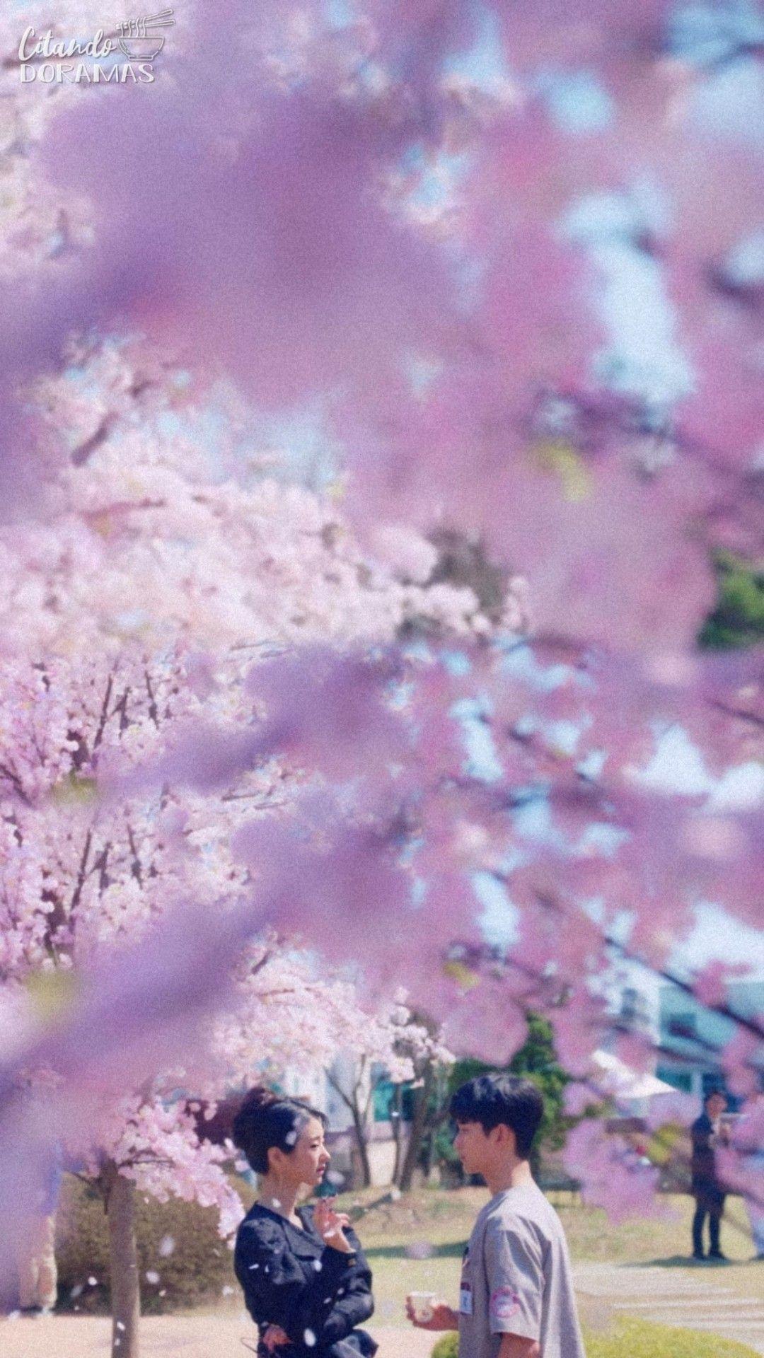 Doramas Wallpapers - Top Free Doramas Backgrounds - WallpaperAccess