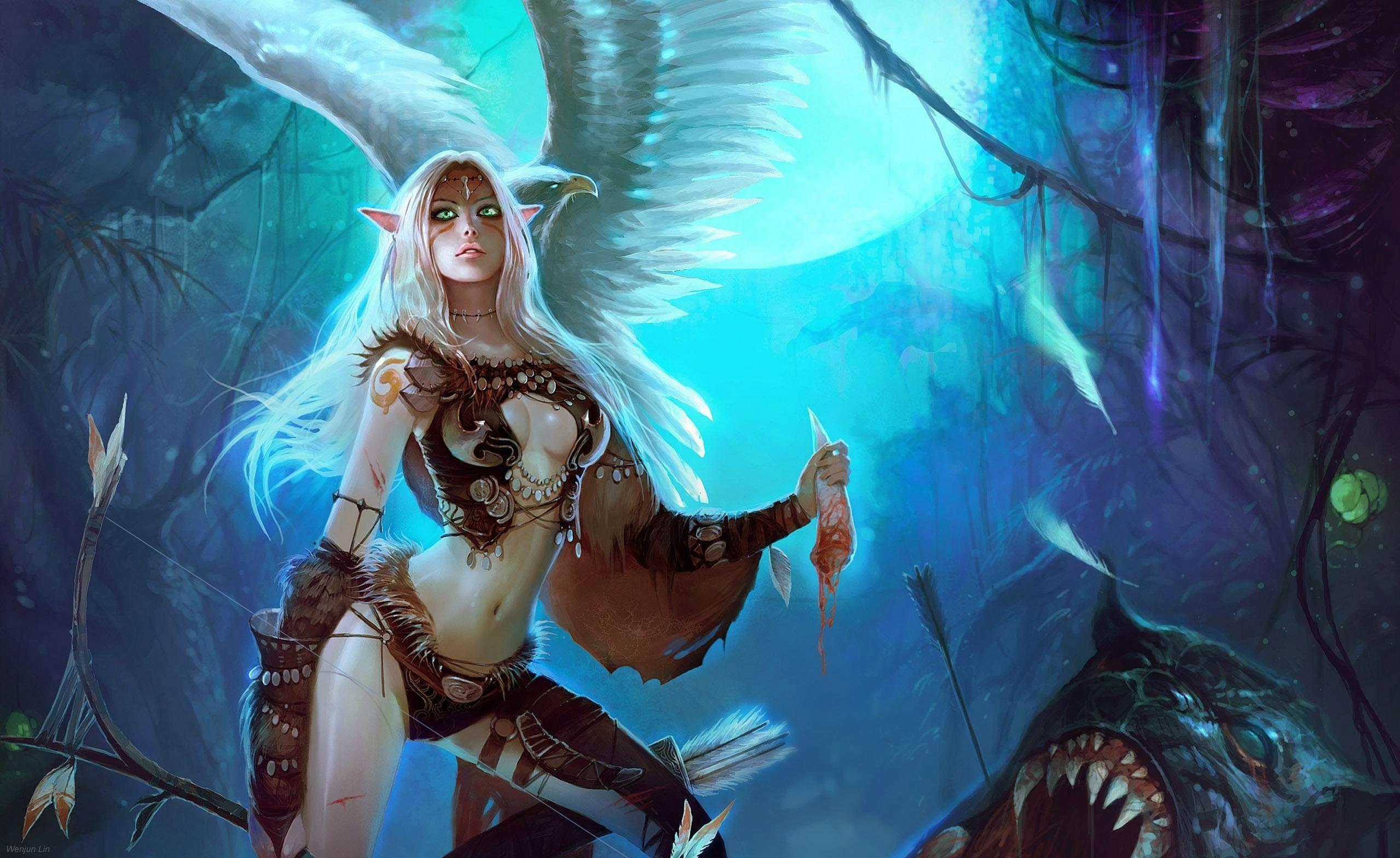 2558x1569 Elf HD Wallpaper