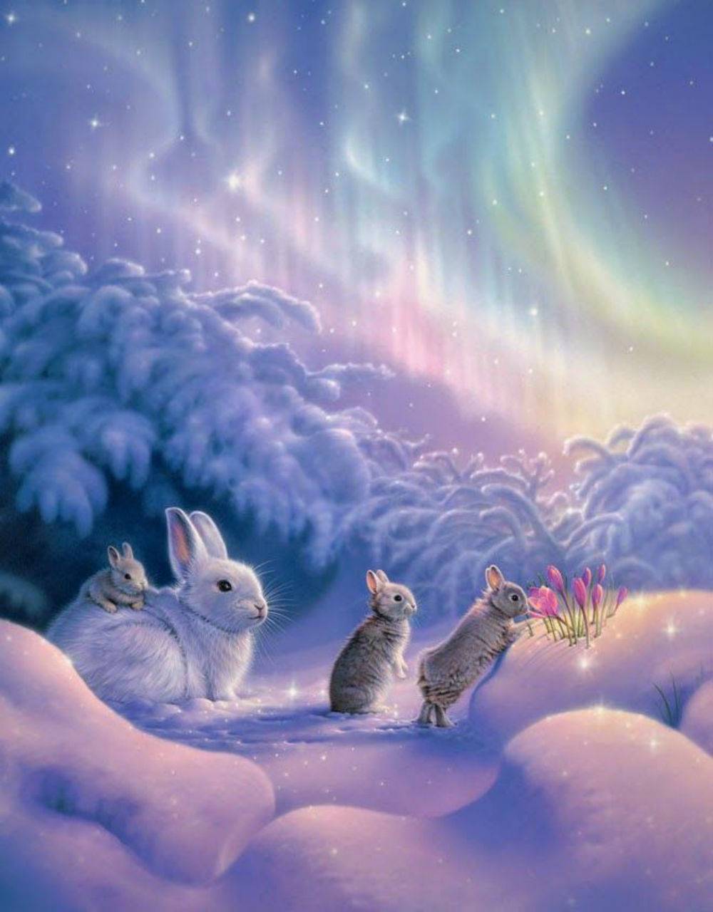 Winter Bunny Wallpapers Top Free Winter Bunny Backgrounds Wallpaperaccess