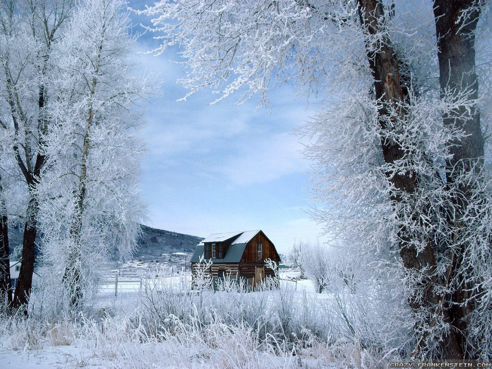 1600x1200 Winter Scenes wallpaper