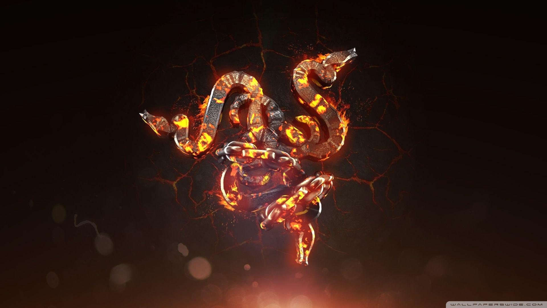 1920x1080 Razer HD desktop wallpaper : Widescreen : High Definition