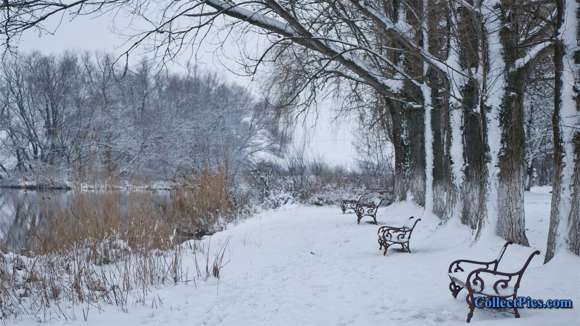 1920x1080 Winter Scene 590179
