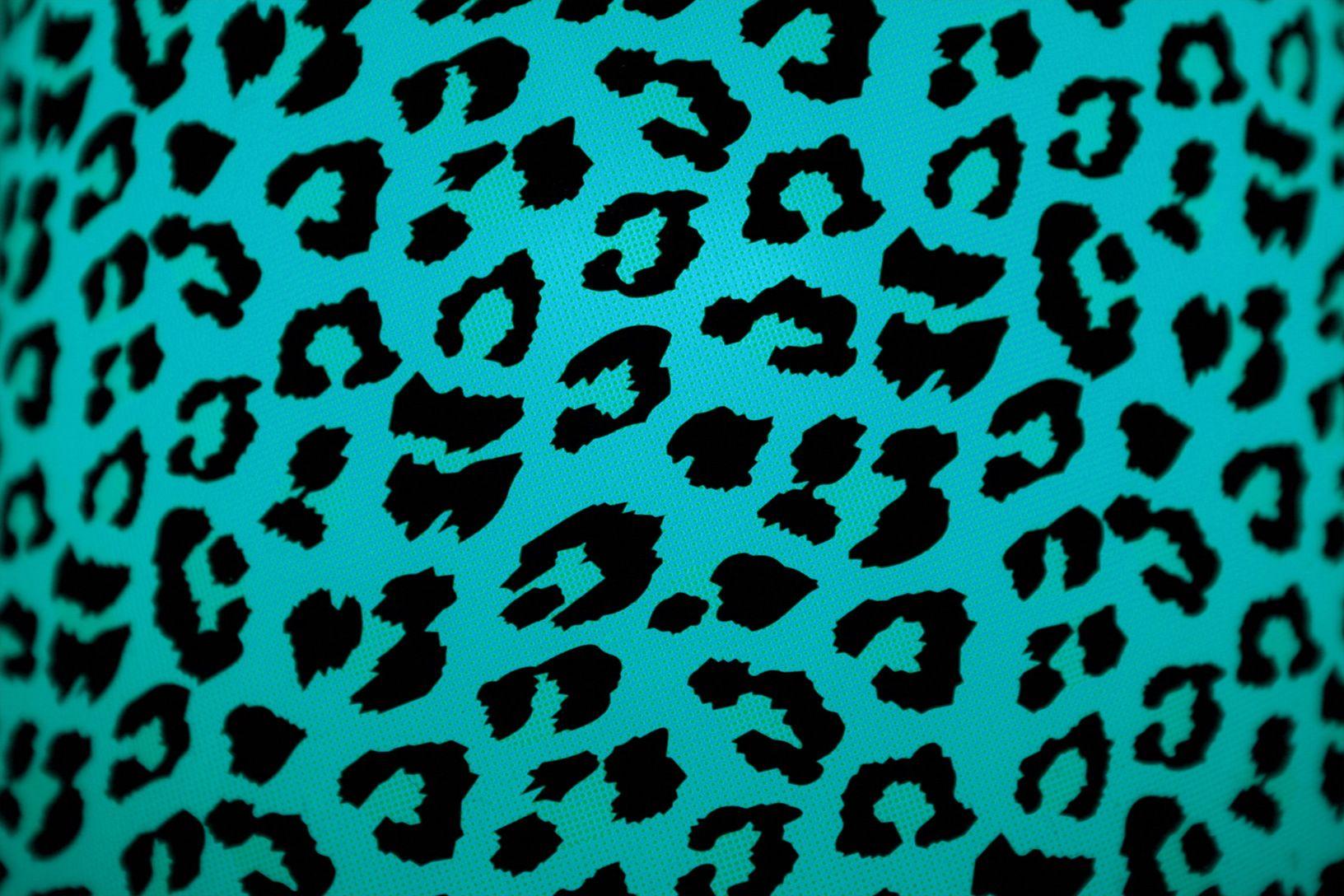 1632x1088 Free Zebra And Cheetah Wallpaper .clipart